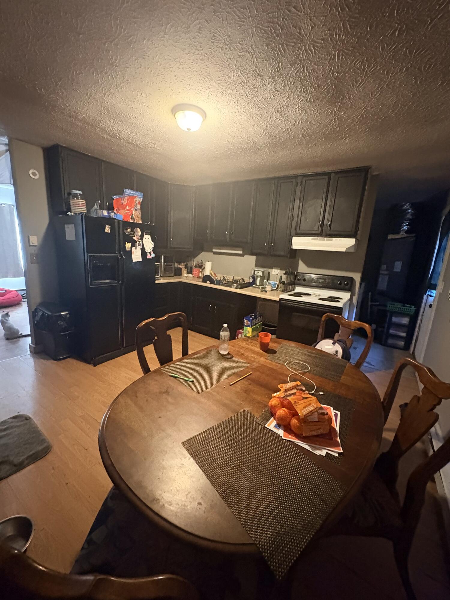 75 Elkins Street Property Photo 9