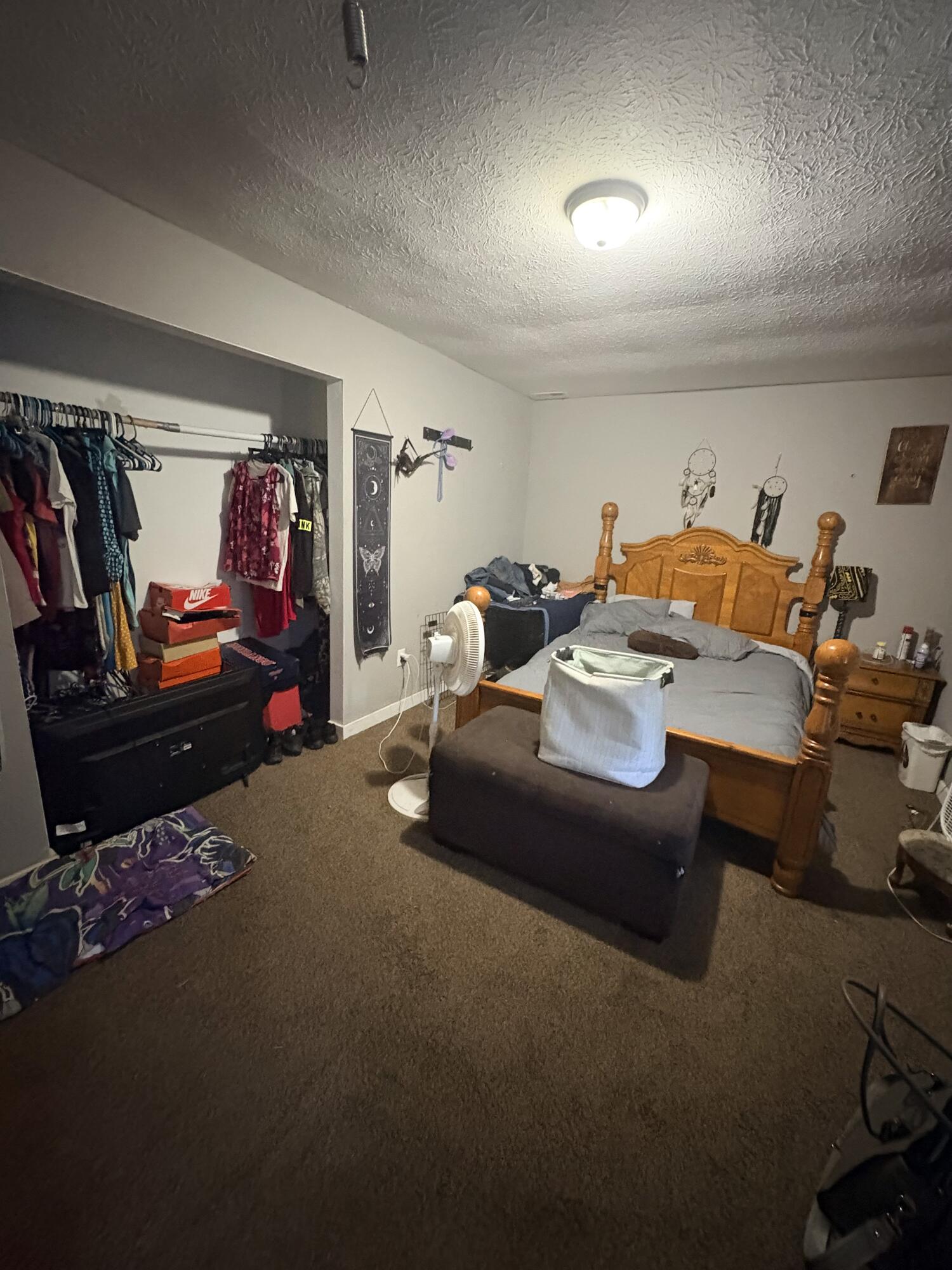 75 Elkins Street Property Photo 13
