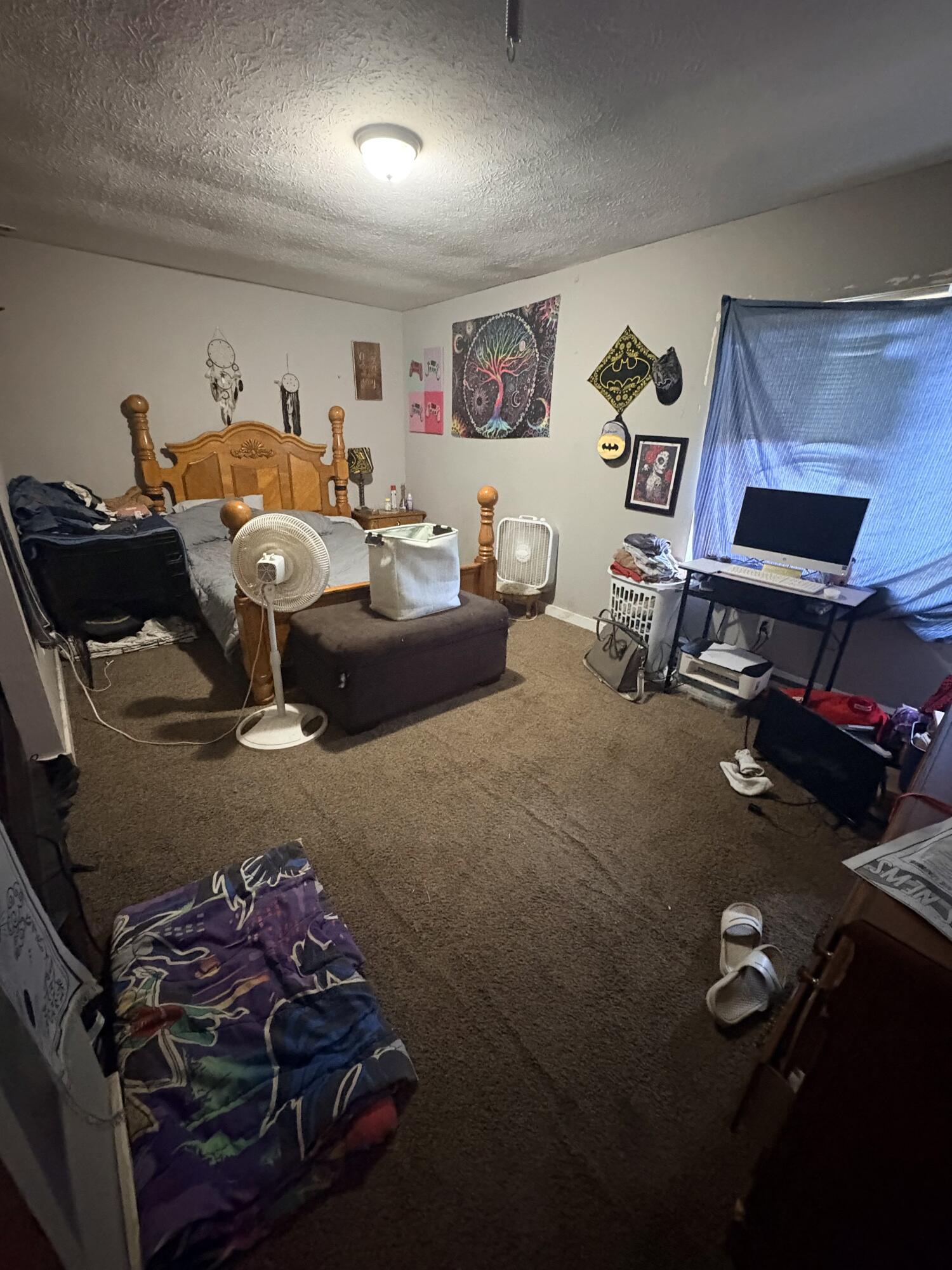 75 Elkins Street Property Photo 14