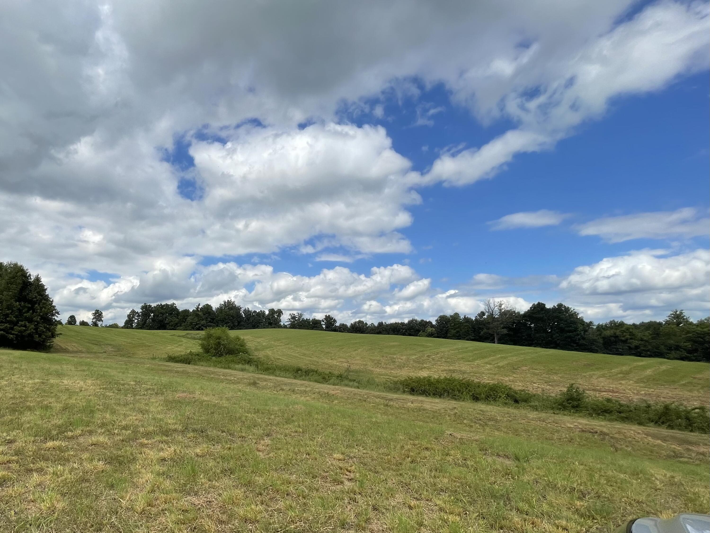 119 Pebble Creek Drive Property Photo 1