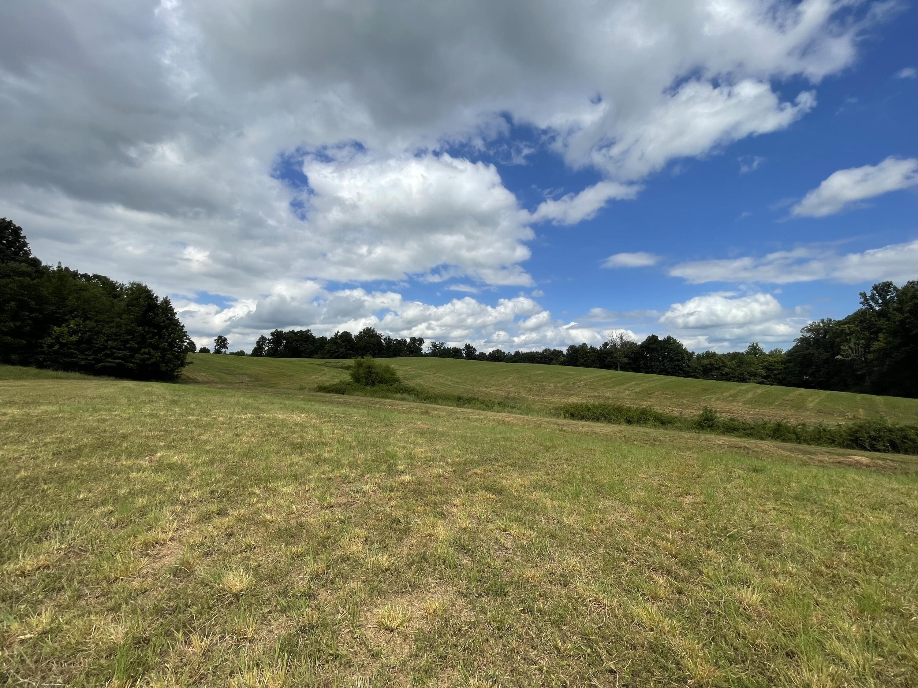 117 Pebble Creek Drive Property Photo 1