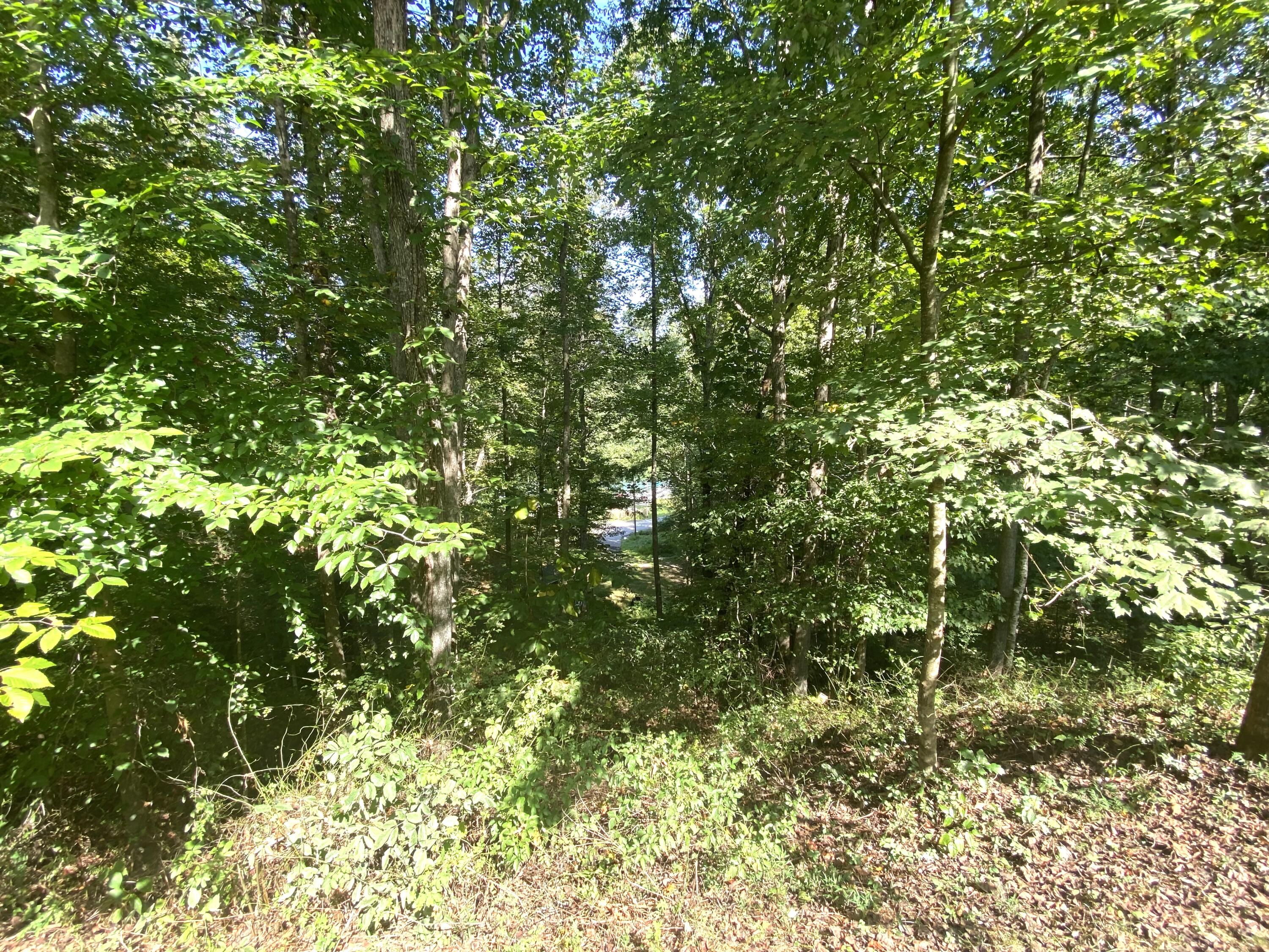 1660 Moriah Road Property Photo 11