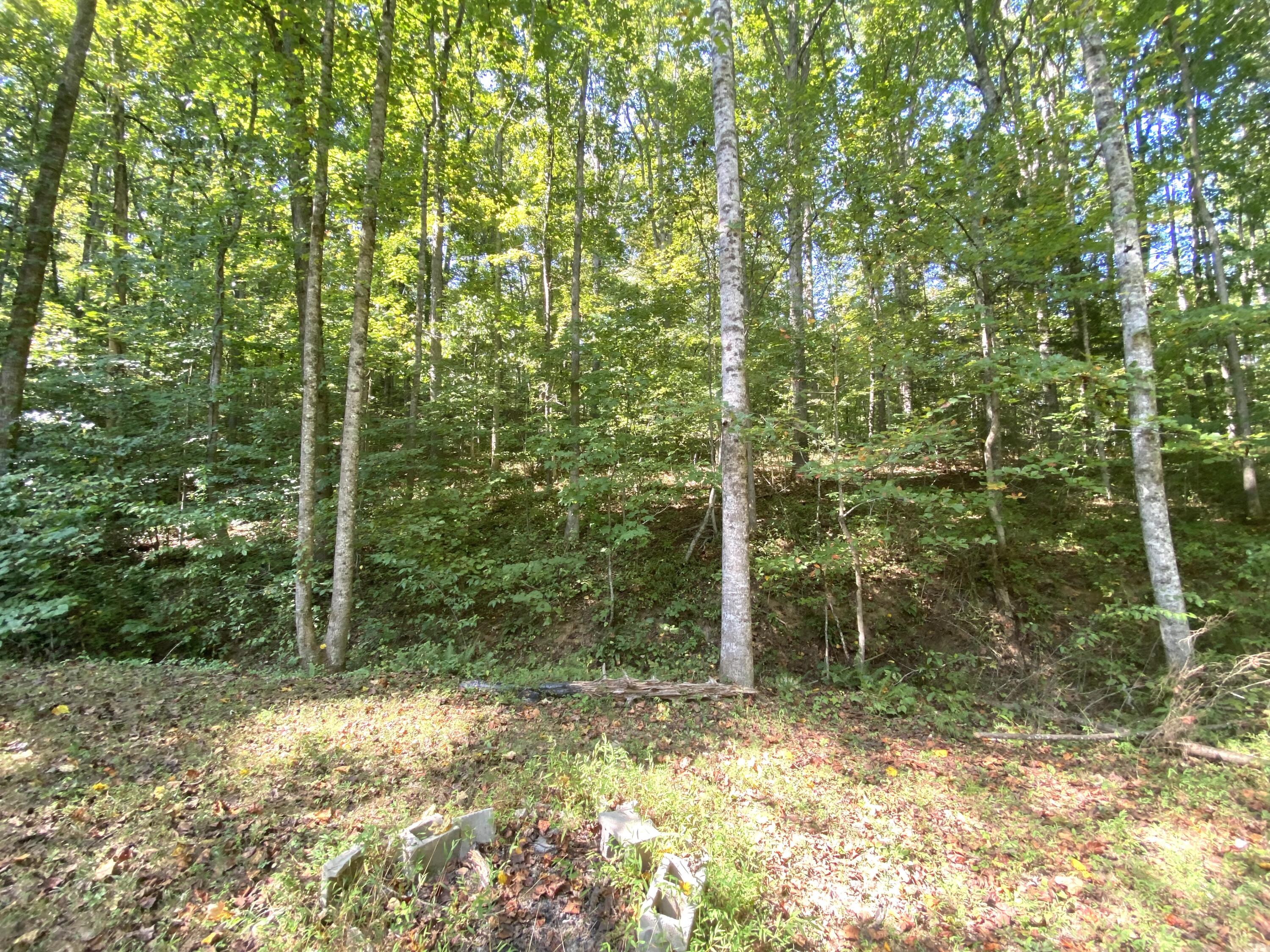 1660 Moriah Road Property Photo 42