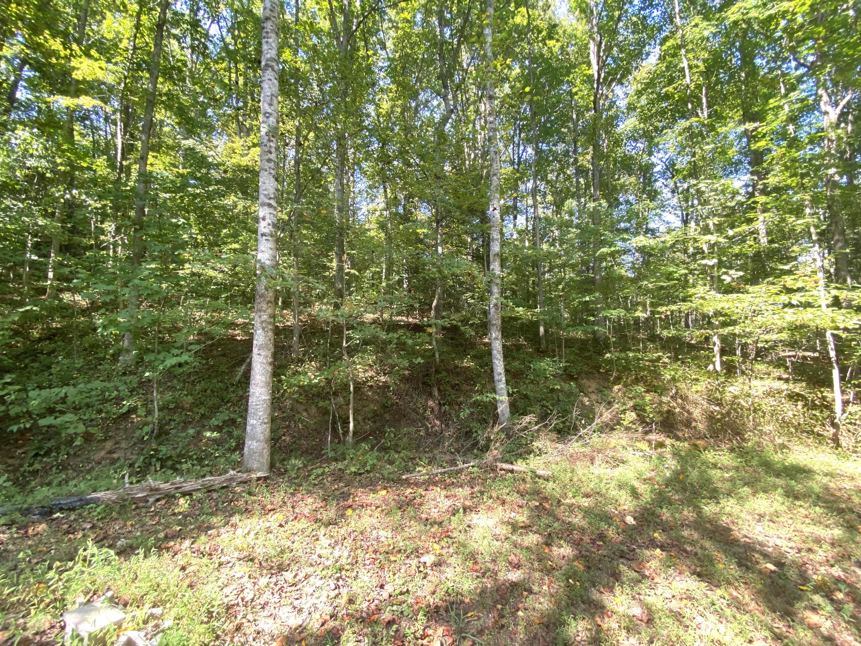1660 Moriah Road Property Photo 43