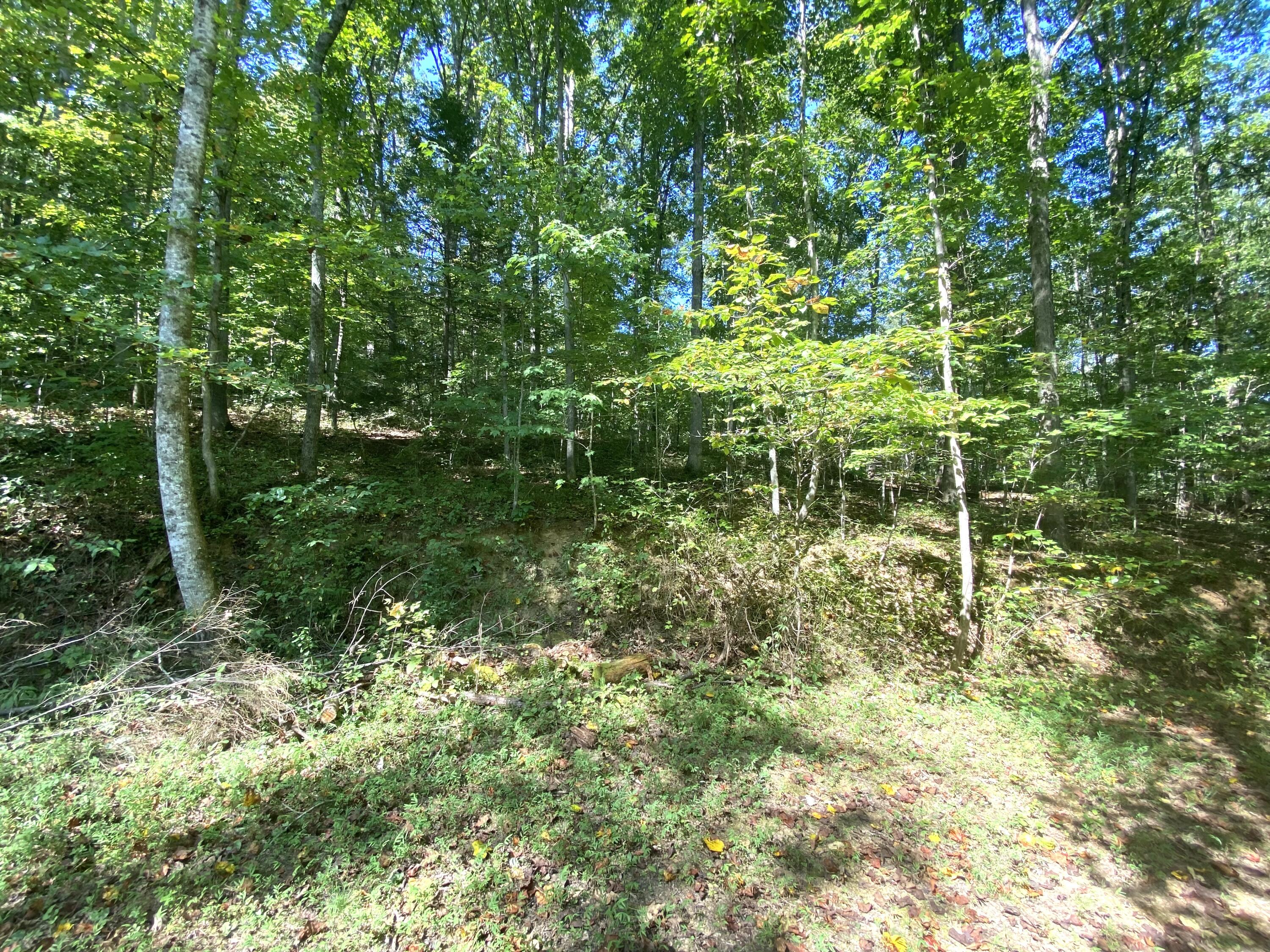 1660 Moriah Road Property Photo 44