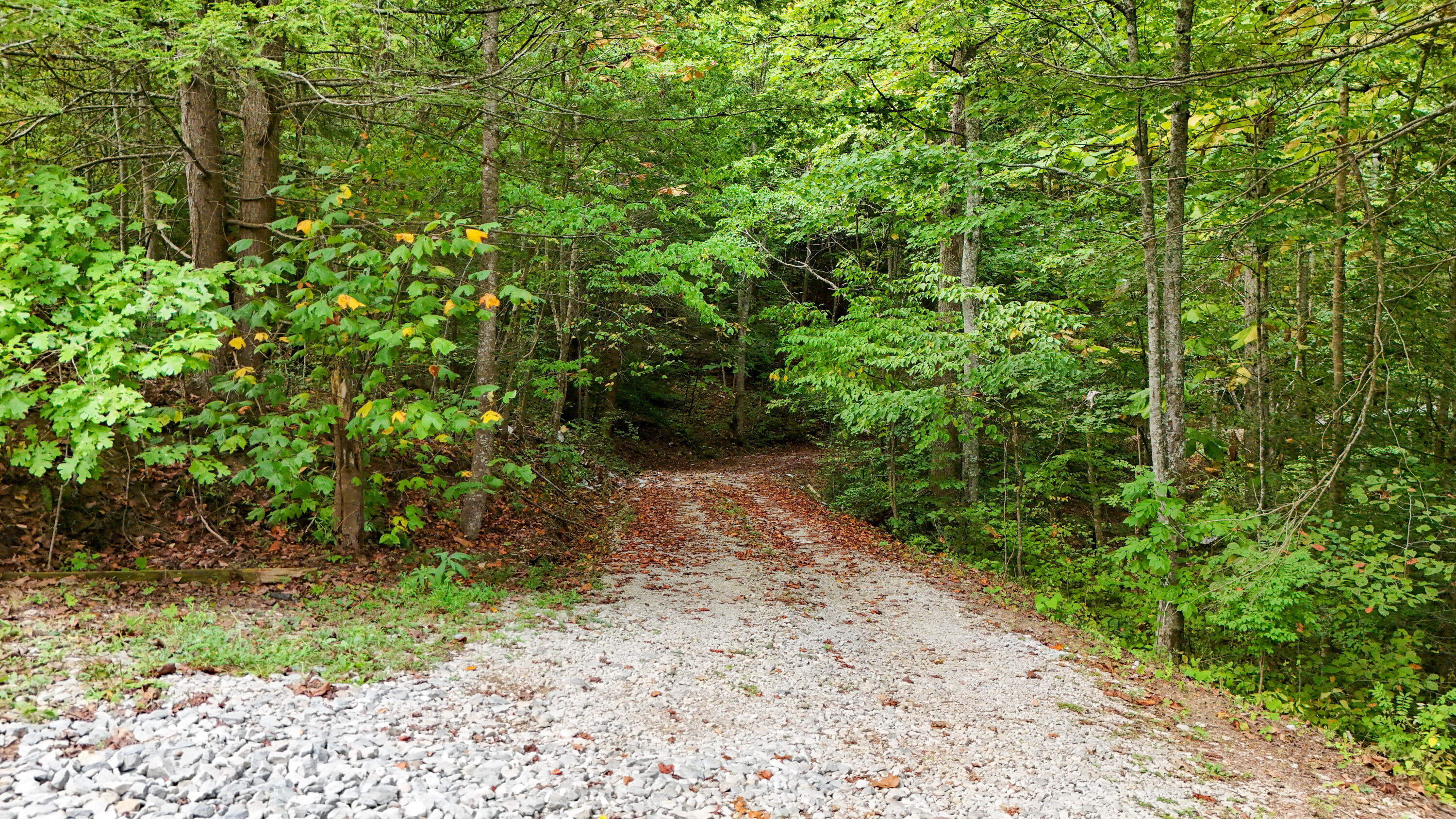 1660 Moriah Road Property Photo 49