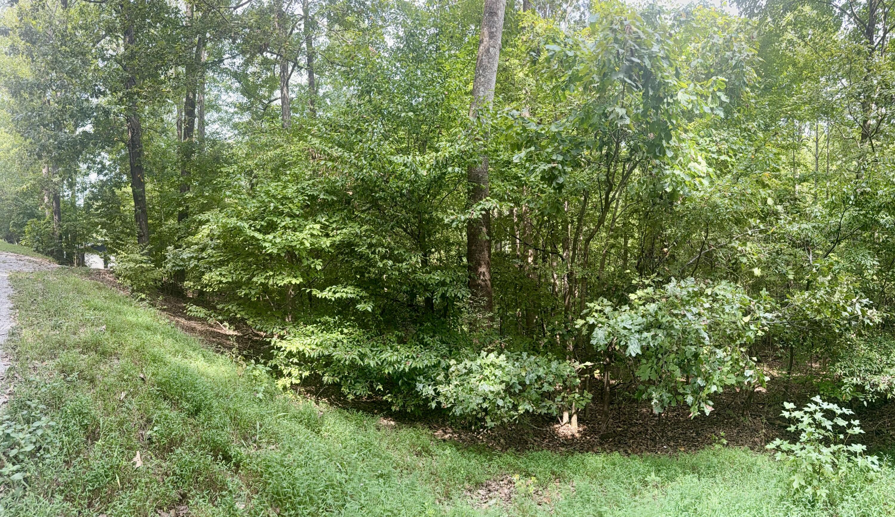 Lot 24e Property Photo 1