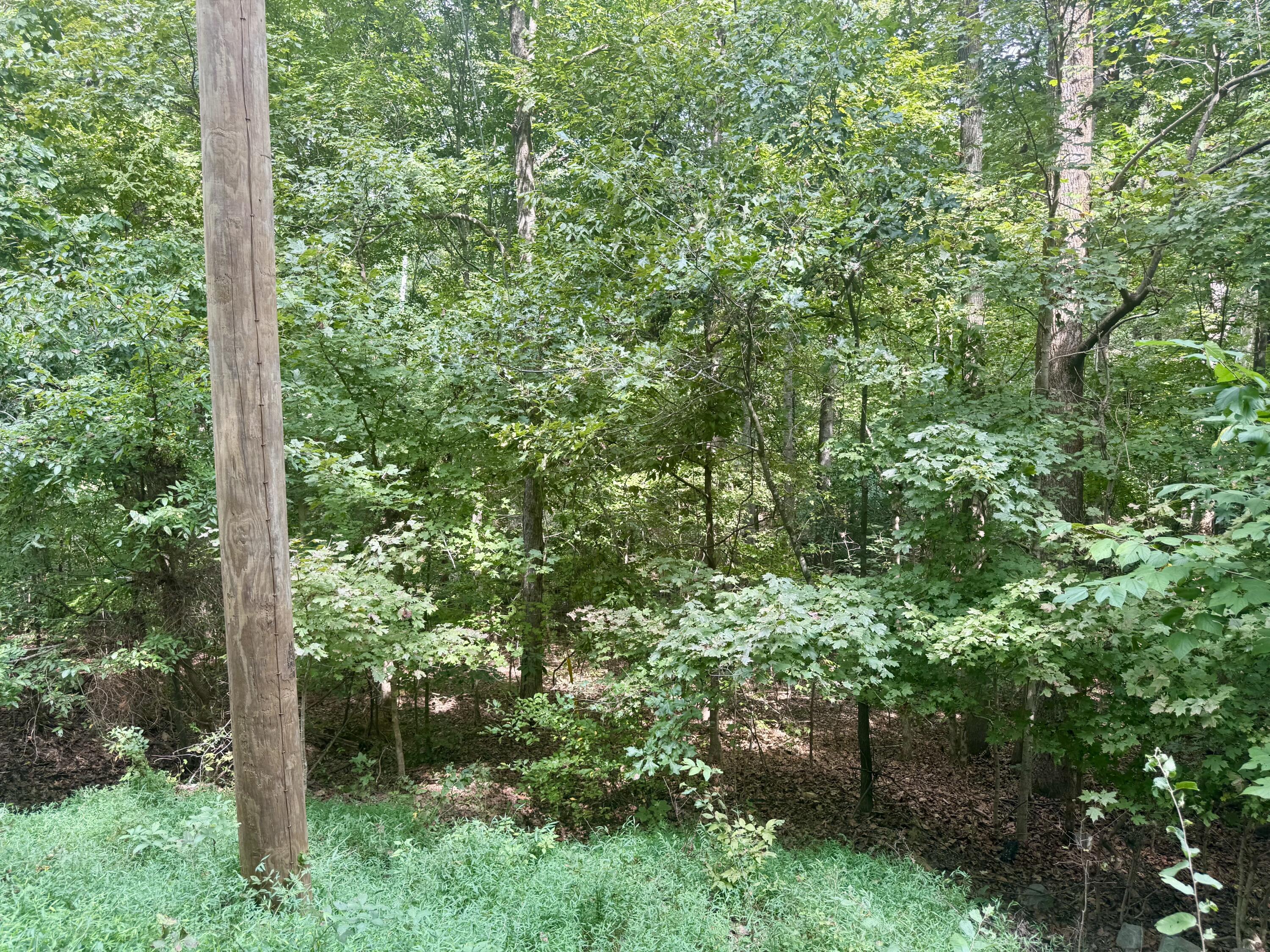 Lot 24e Property Photo 2