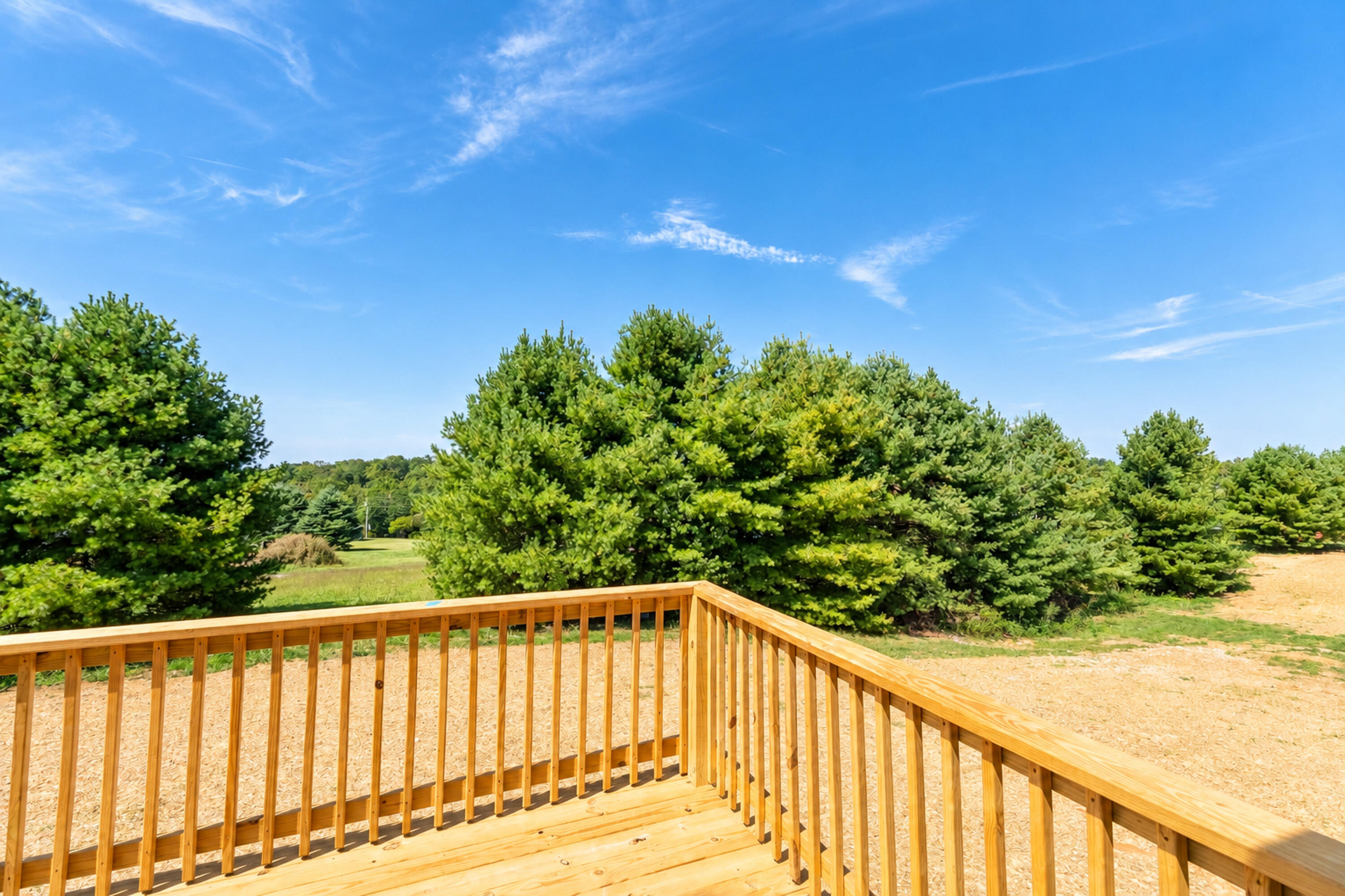 254 Spring Meadows Drive Property Photo 37