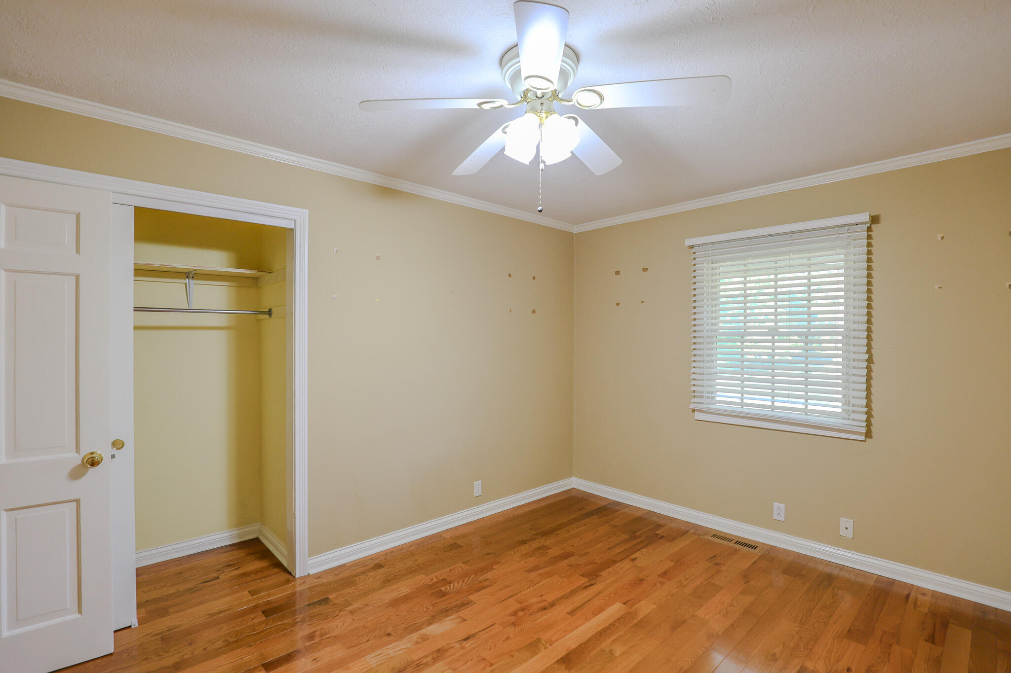 404 Highland Church Road Property Photo 22