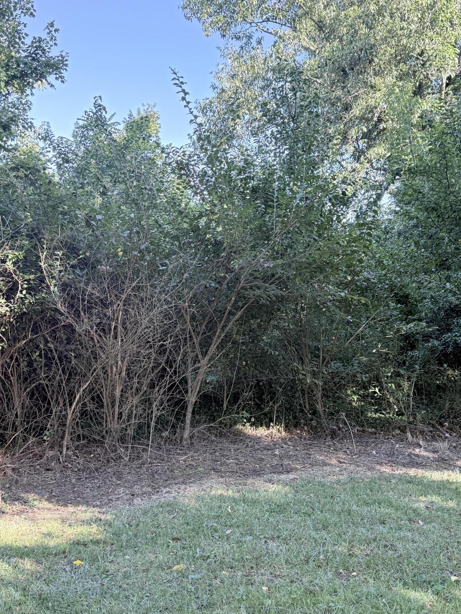 1629 Parkers Mill Road Property Photo 32