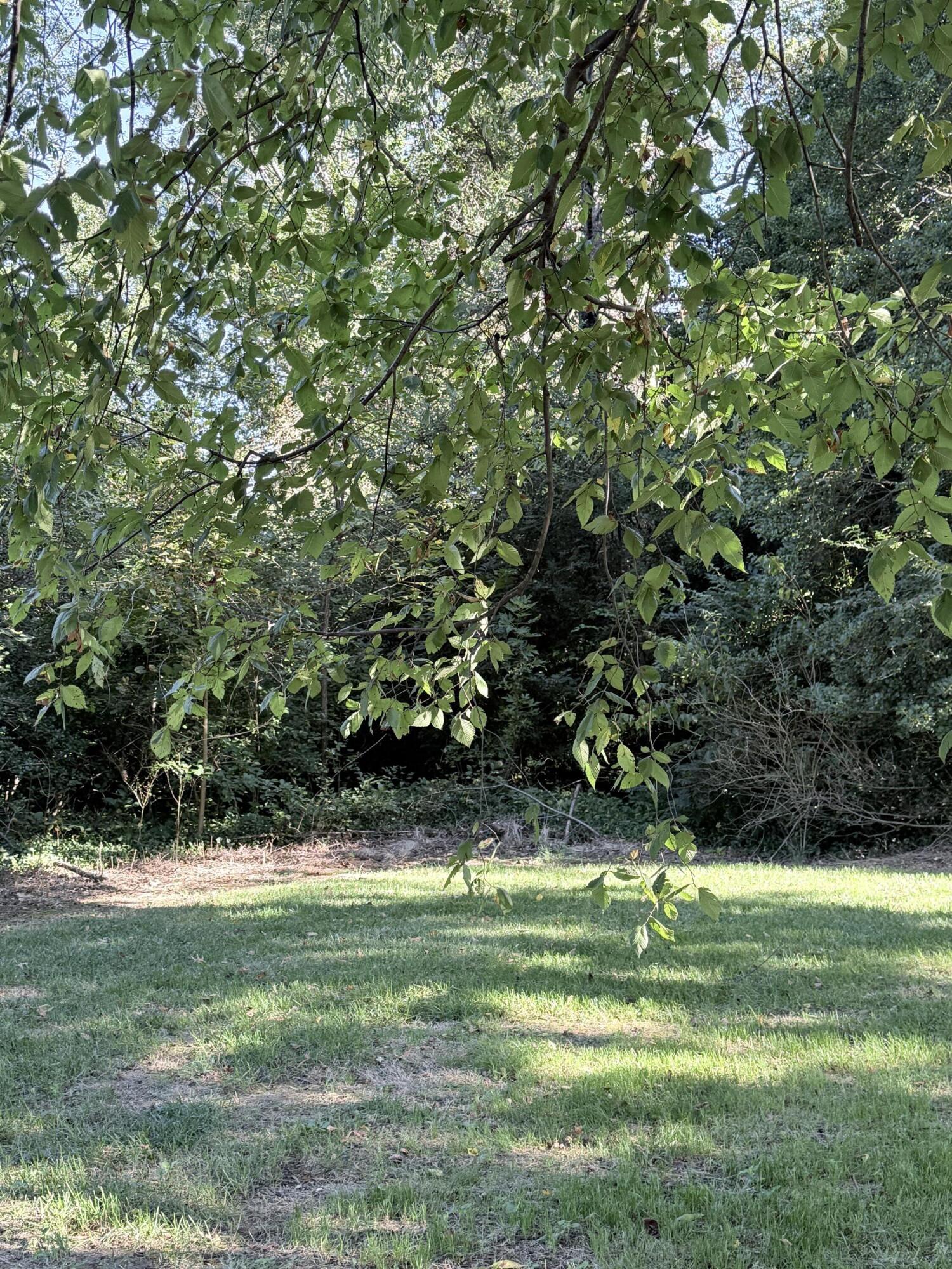 1629 Parkers Mill Road Property Photo 34