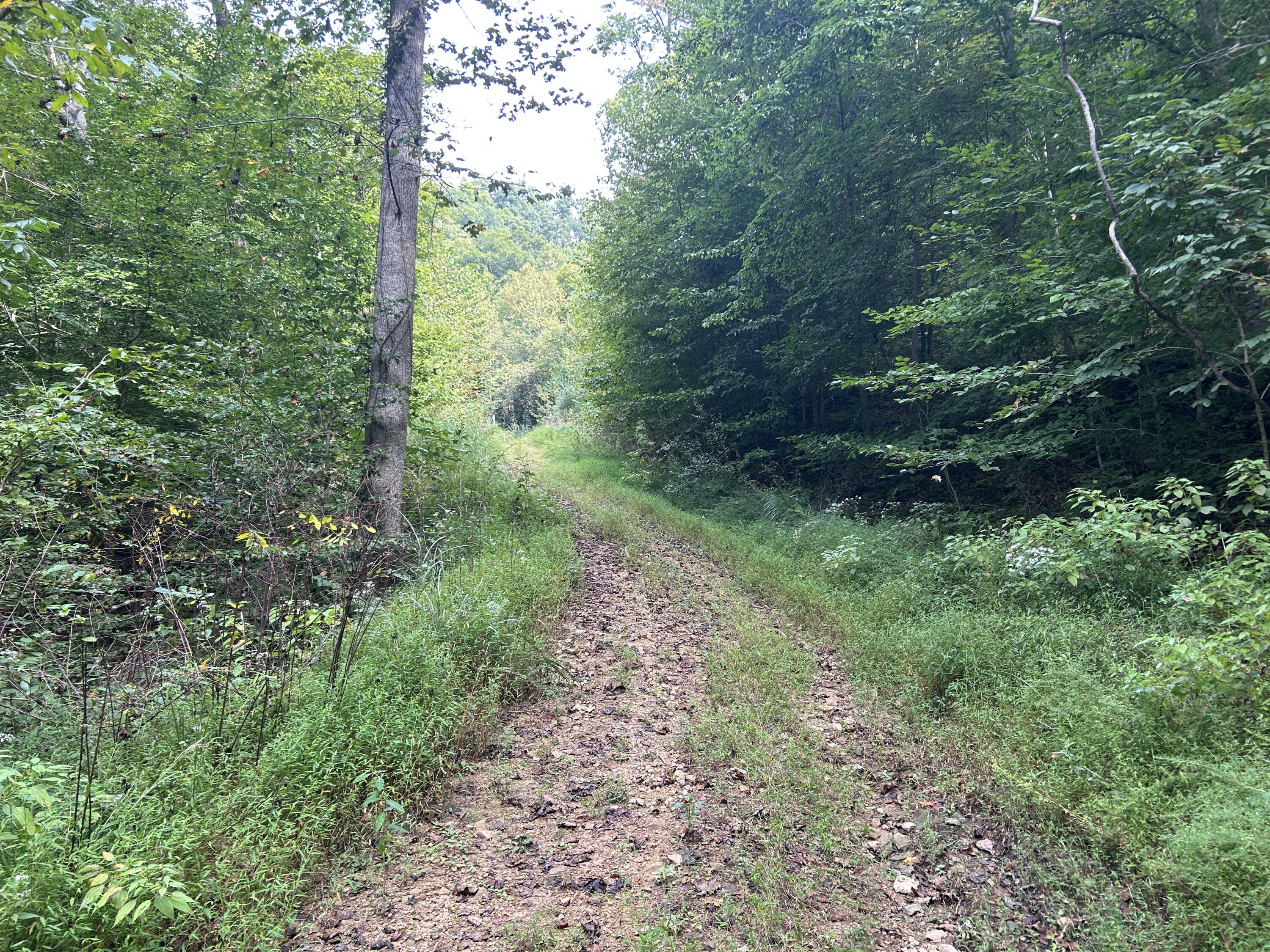 9999 Little Leatherwood Creek Road