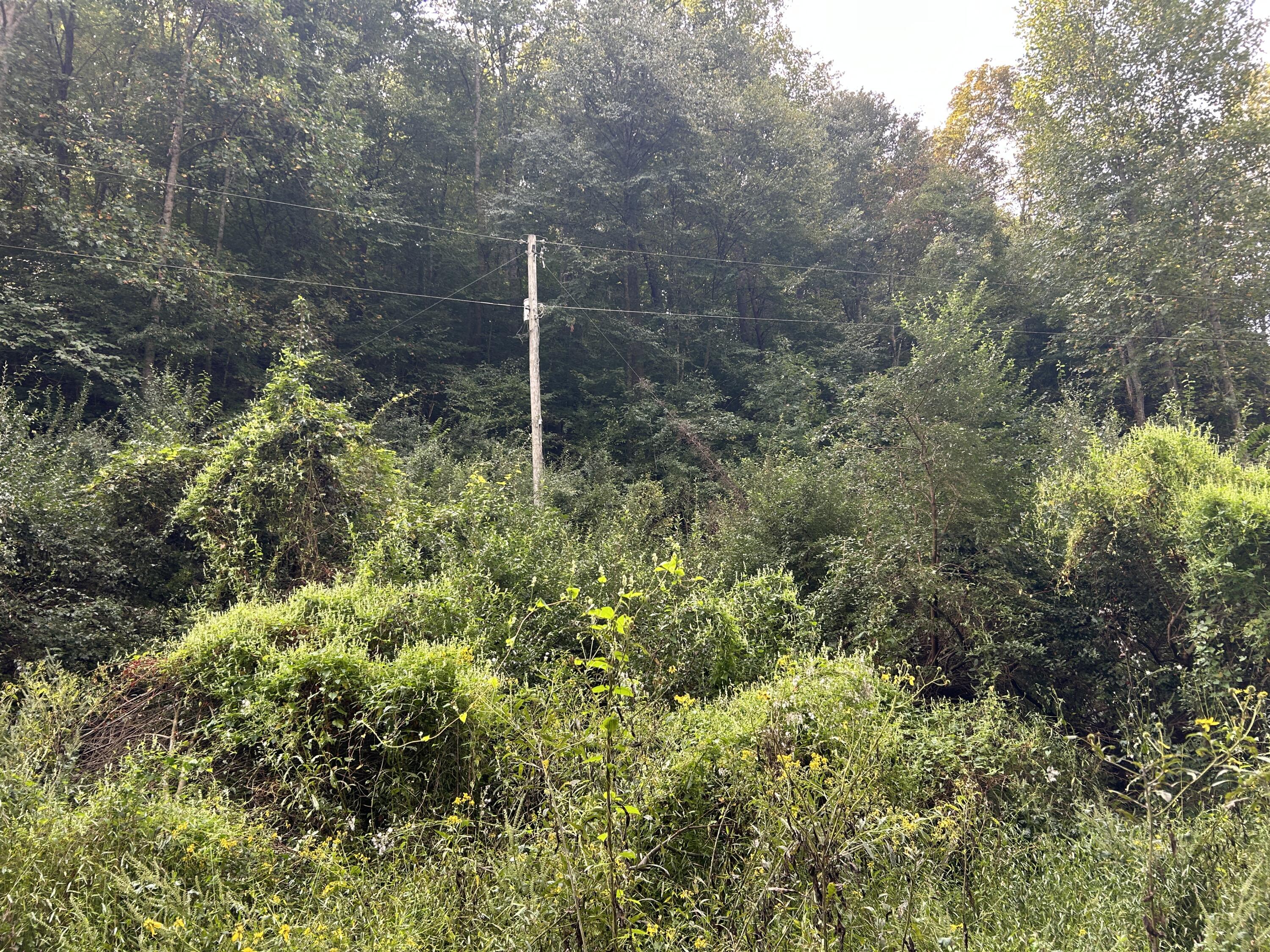9999 Little Leatherwood Creek Road Property Photo 2