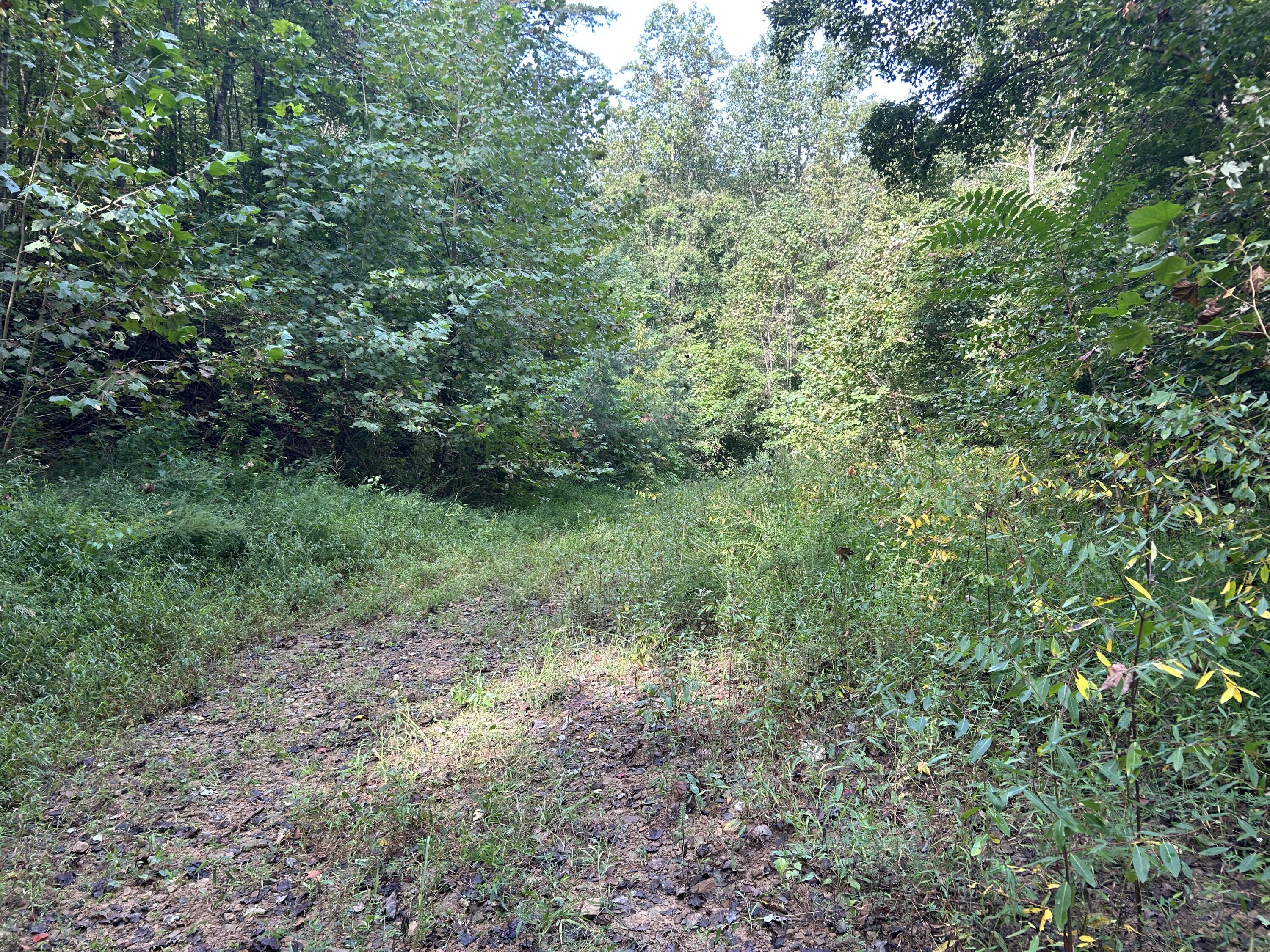 9999 Little Leatherwood Creek Road Property Photo 3