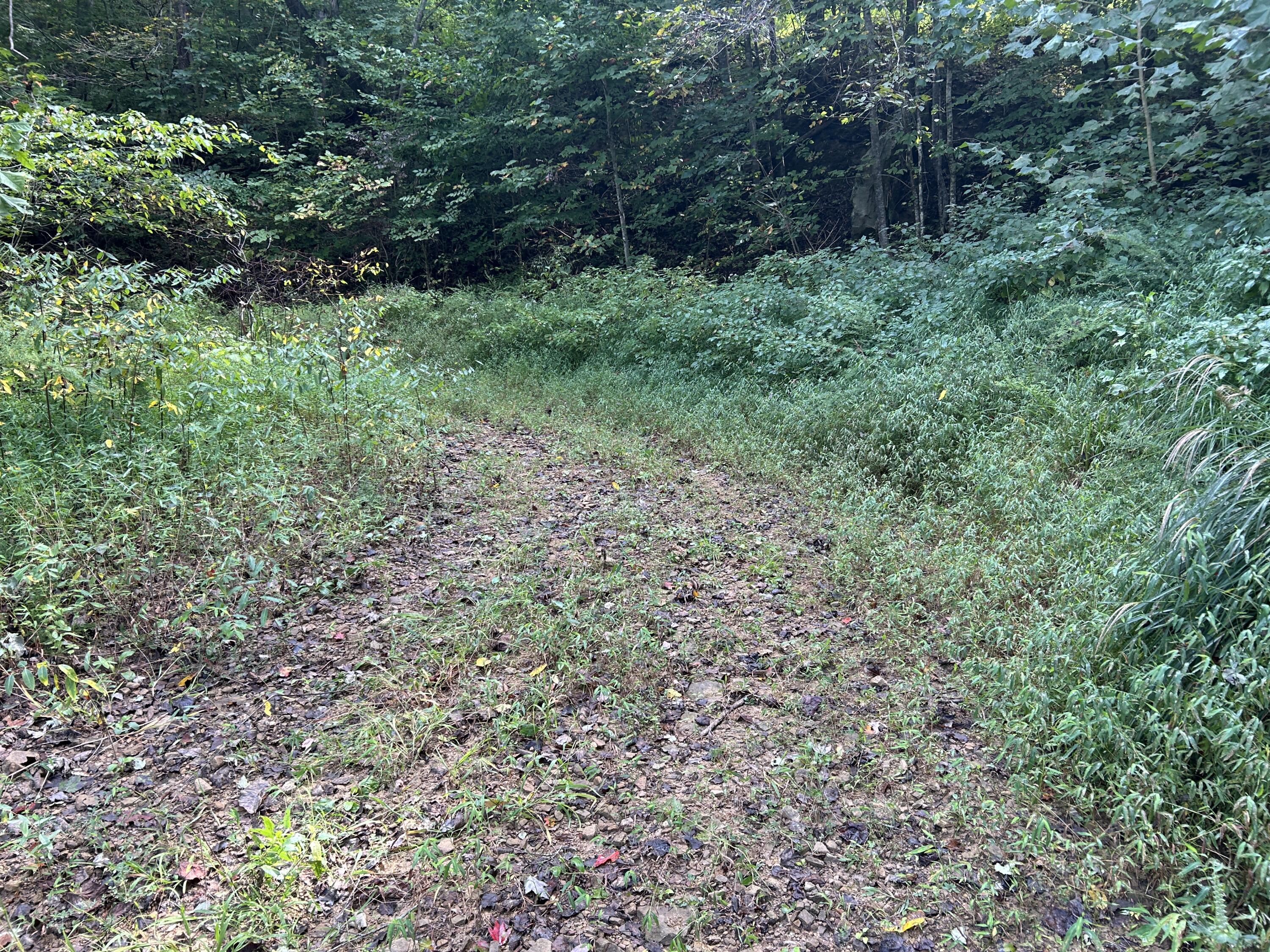 9999 Little Leatherwood Creek Road Property Photo 5