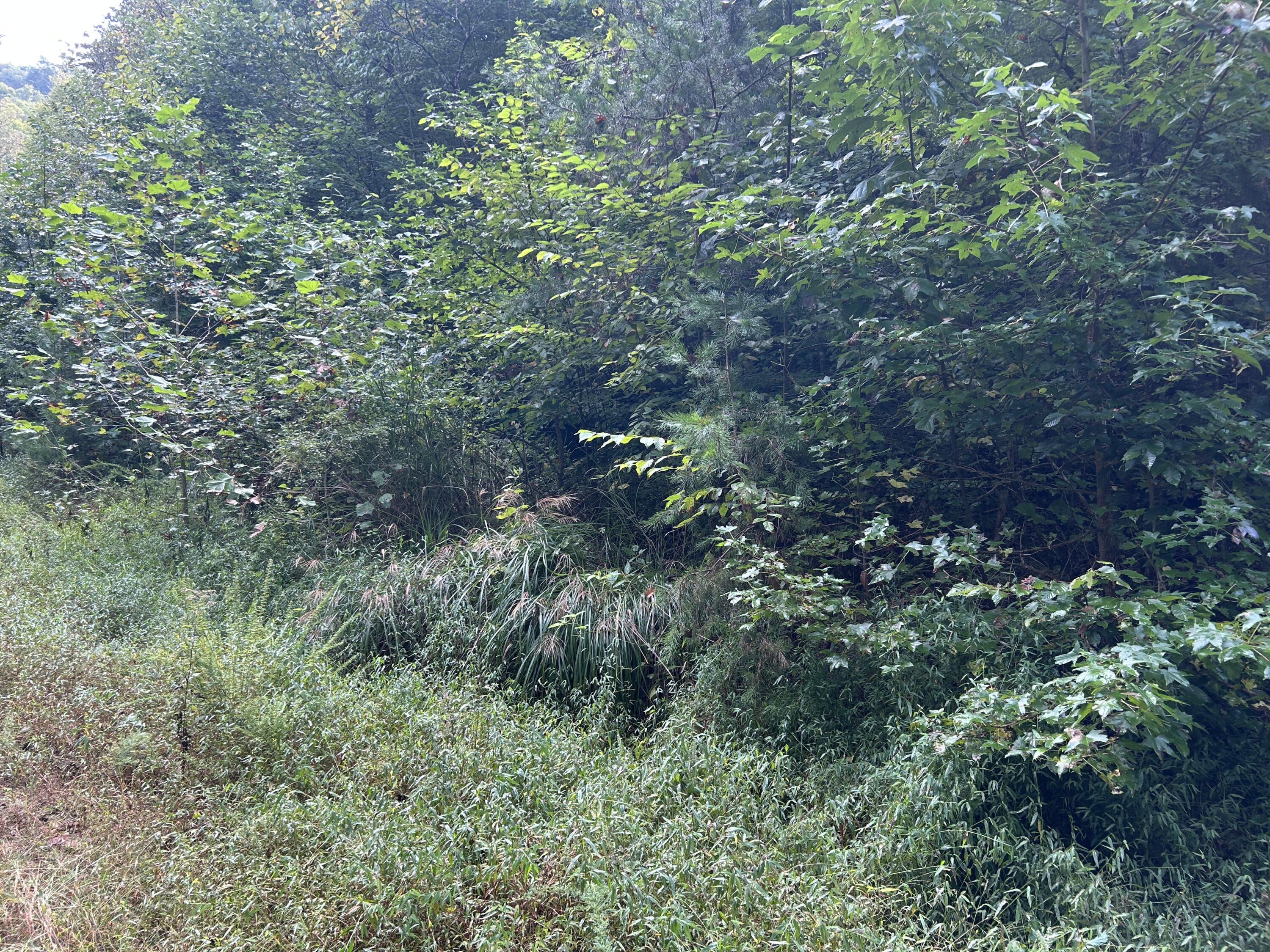 9999 Little Leatherwood Creek Road Property Photo 7