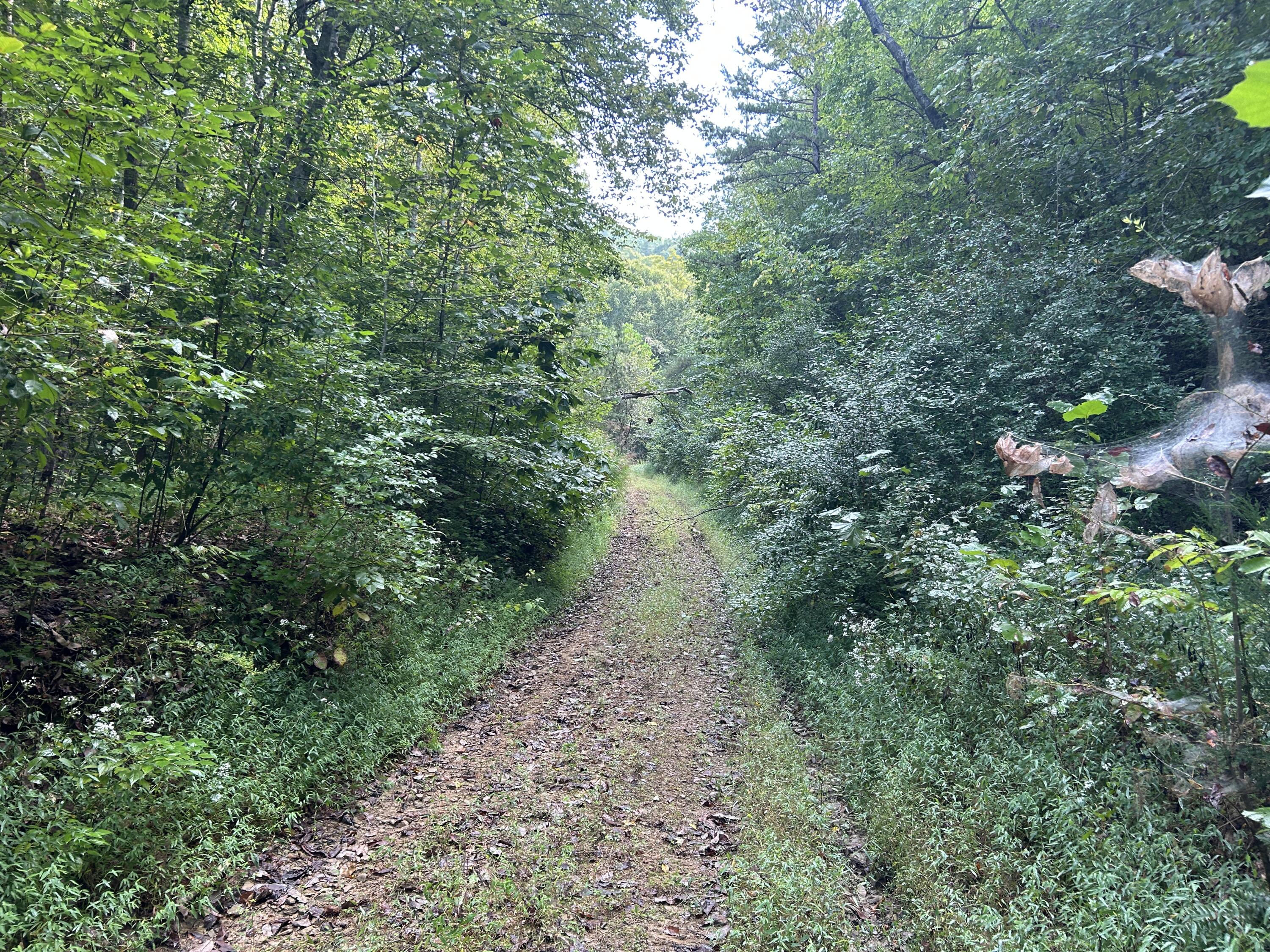 9999 Little Leatherwood Creek Road Property Photo 8