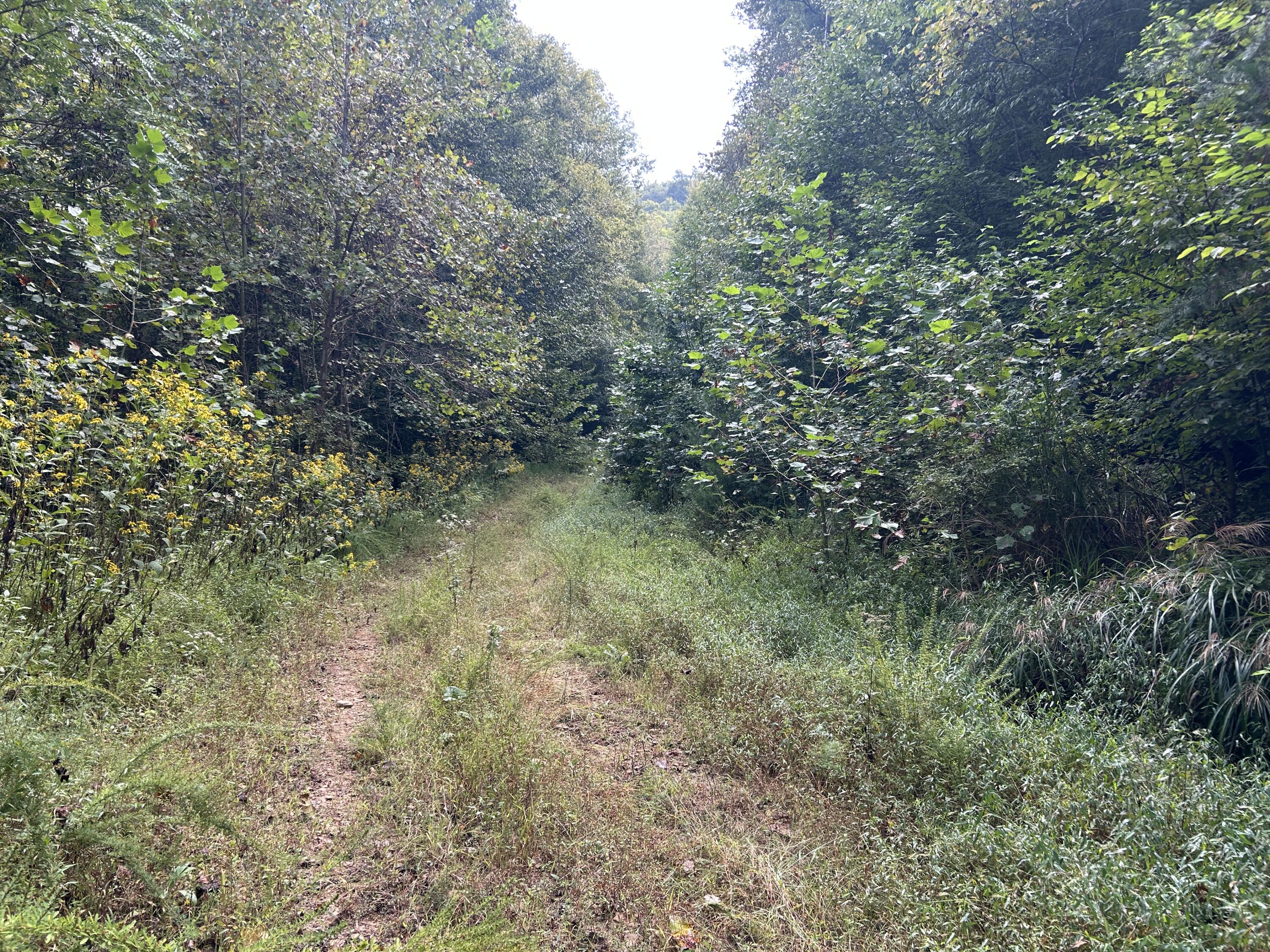 9999 Little Leatherwood Creek Road Property Photo 9