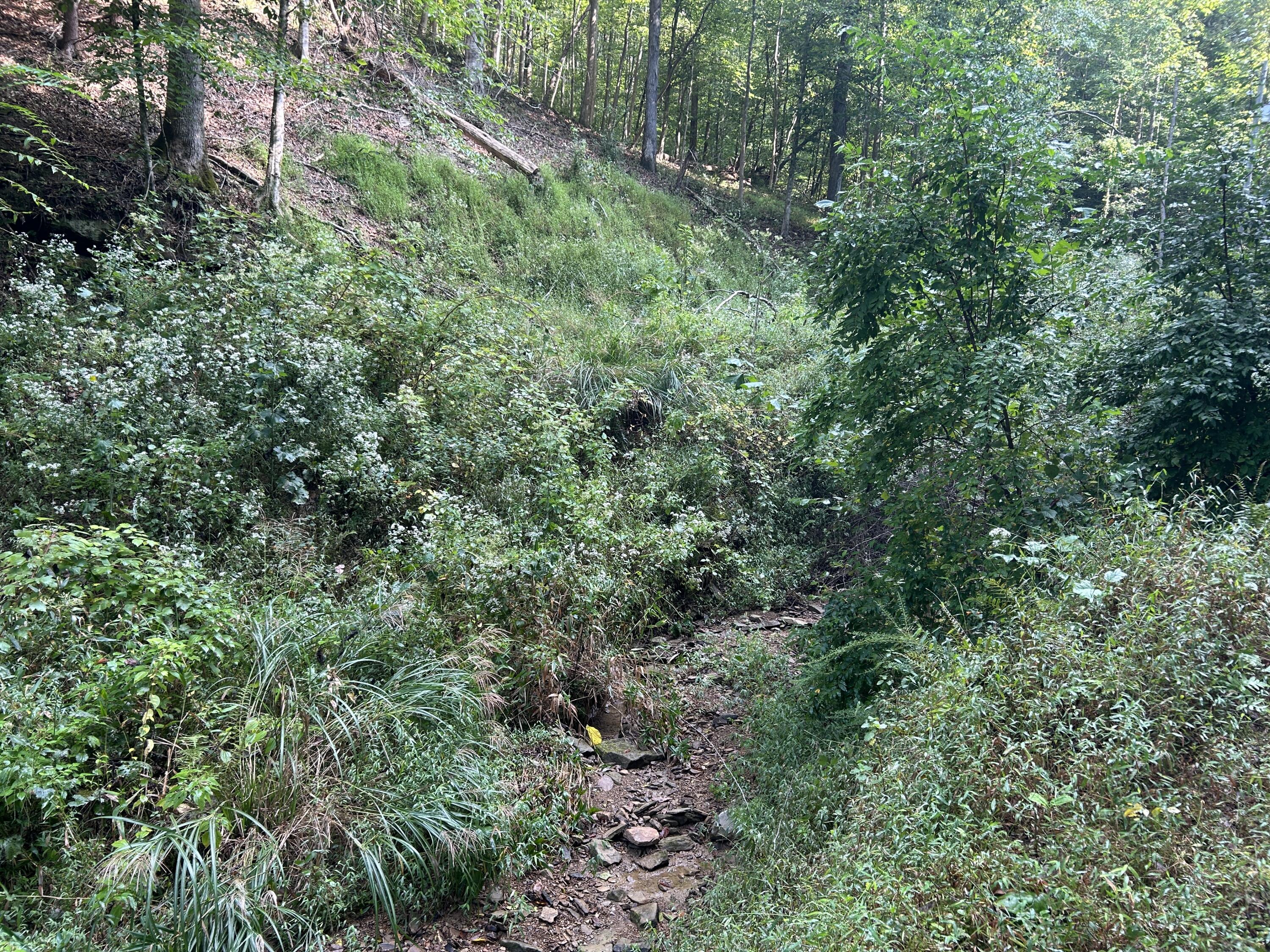 9999 Little Leatherwood Creek Road Property Photo 10
