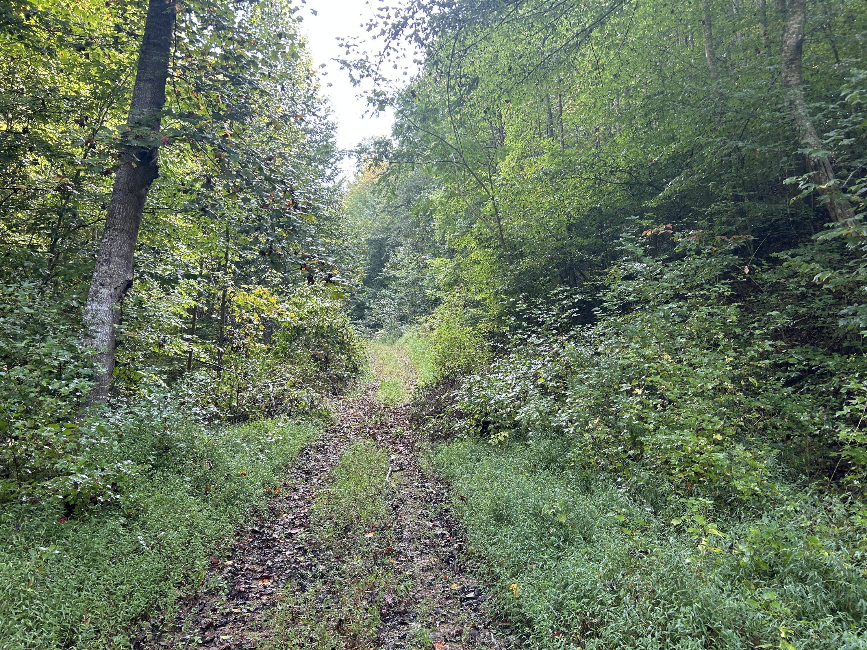 9999 Little Leatherwood Creek Road Property Photo 12