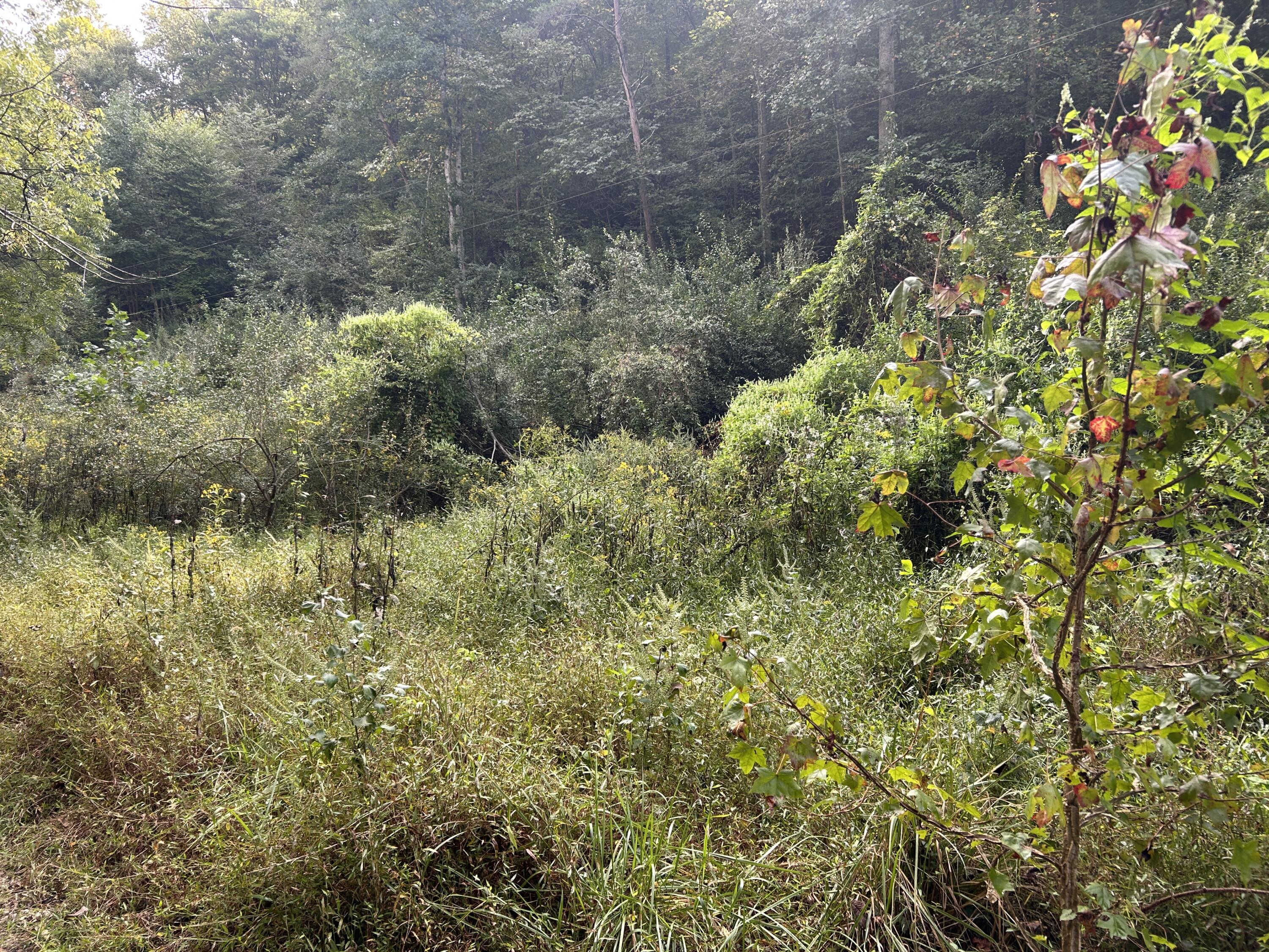9999 Little Leatherwood Creek Road Property Photo 14
