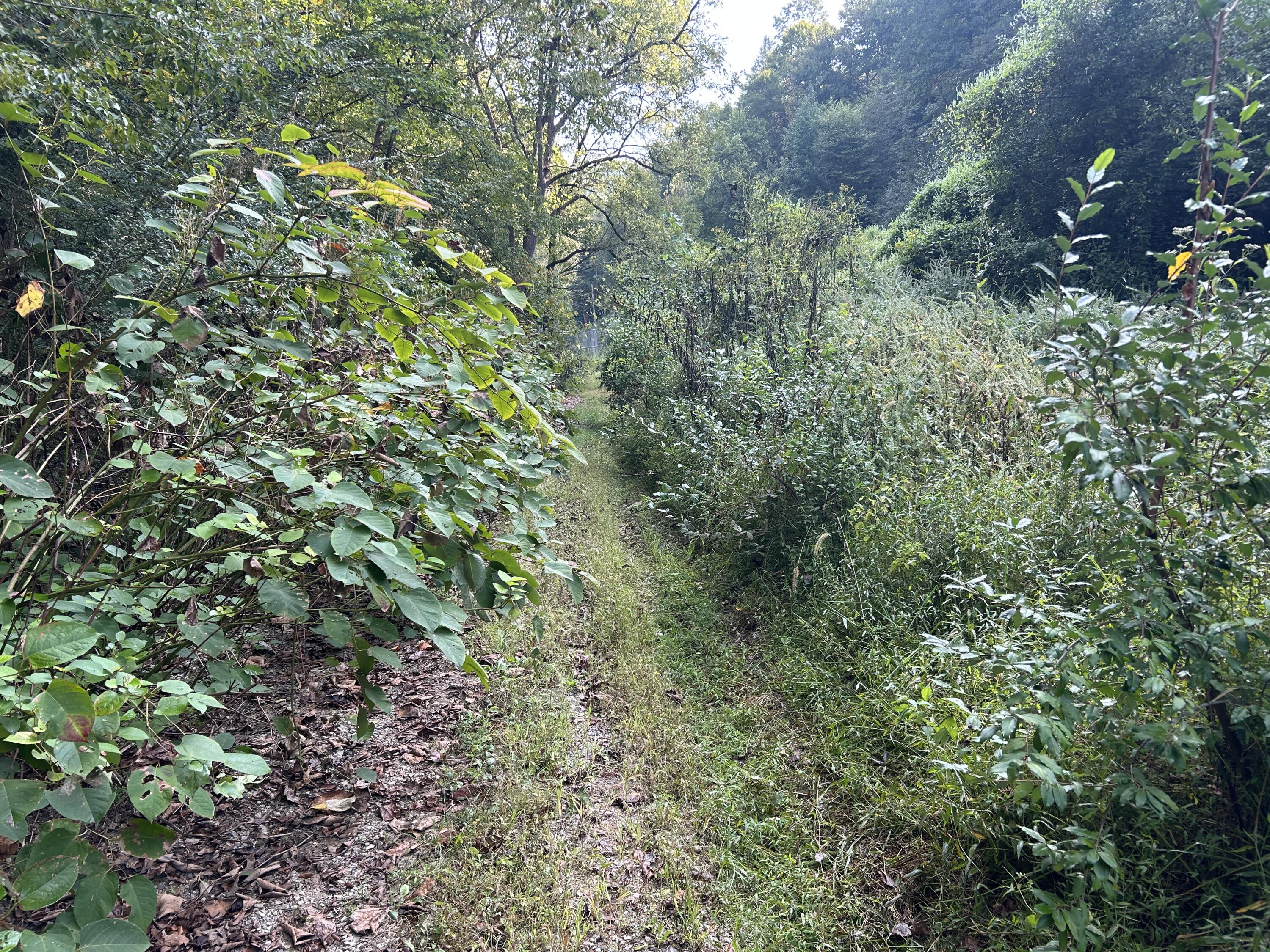 9999 Little Leatherwood Creek Road Property Photo 15