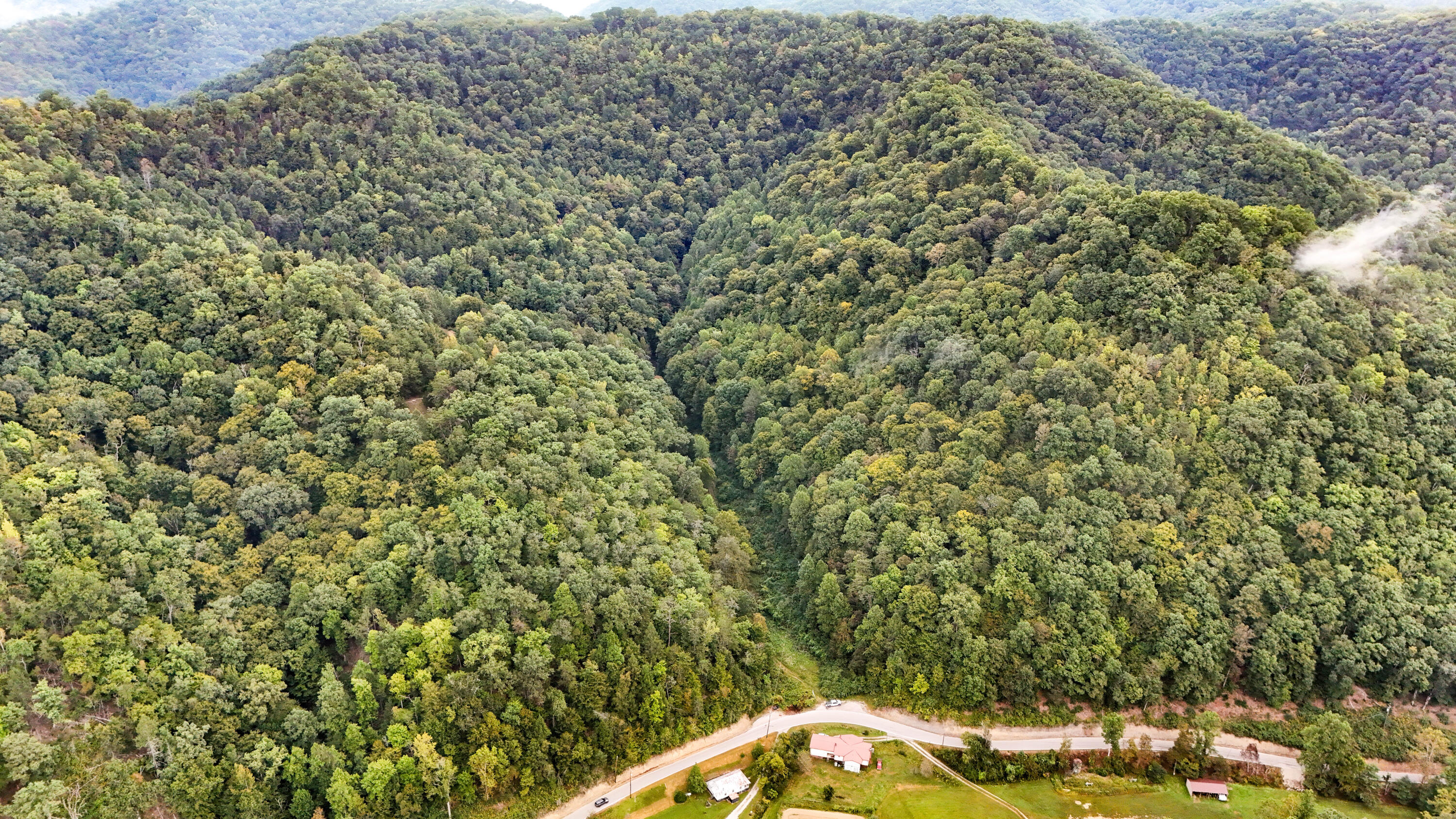 9999 Little Leatherwood Creek Road Property Photo 17