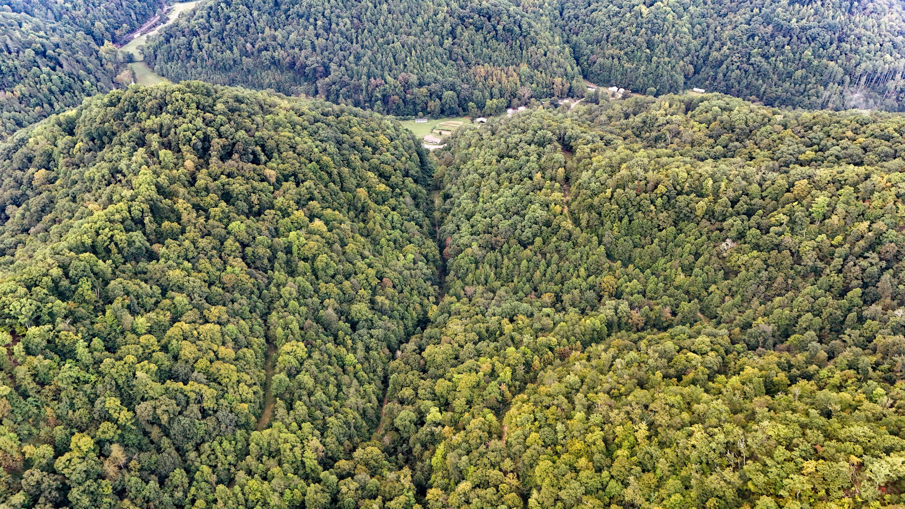9999 Little Leatherwood Creek Road Property Photo 19