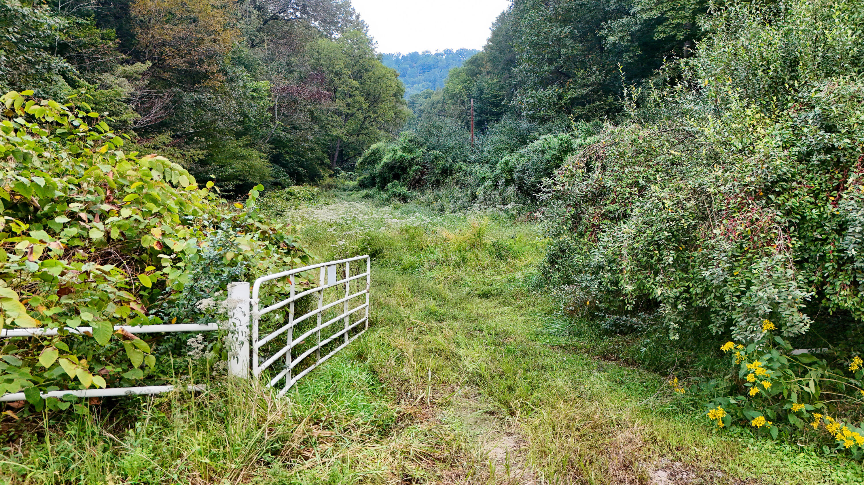 9999 Little Leatherwood Creek Road Property Photo 20