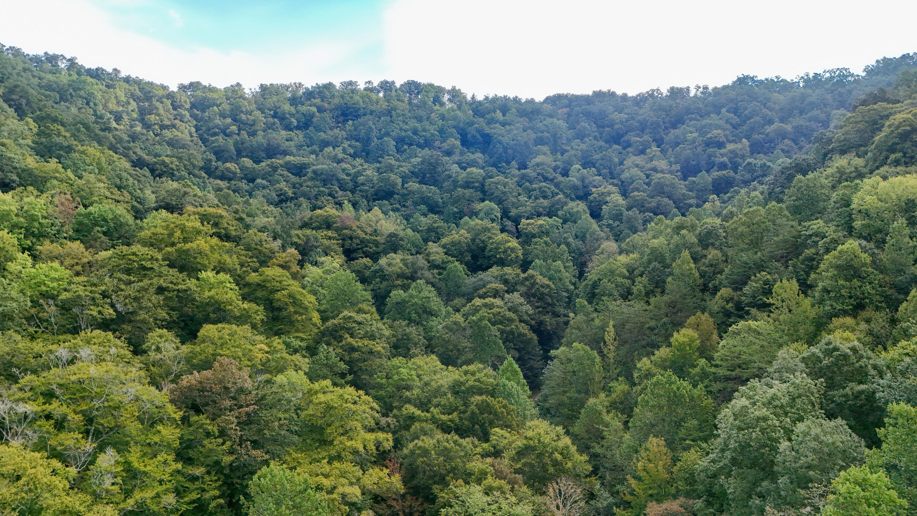 9999 Little Leatherwood Creek Road Property Photo 22
