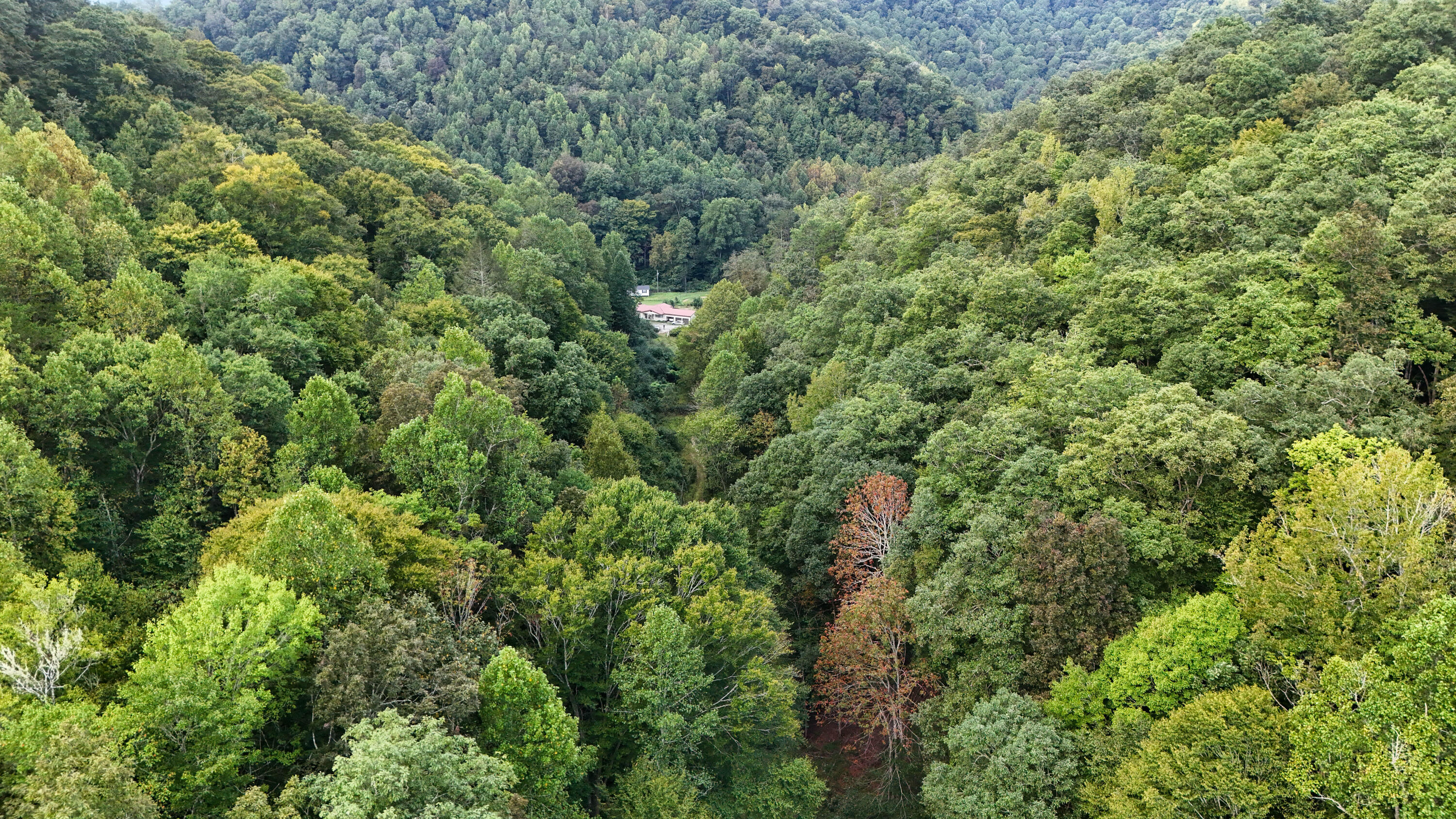 9999 Little Leatherwood Creek Road Property Photo 23
