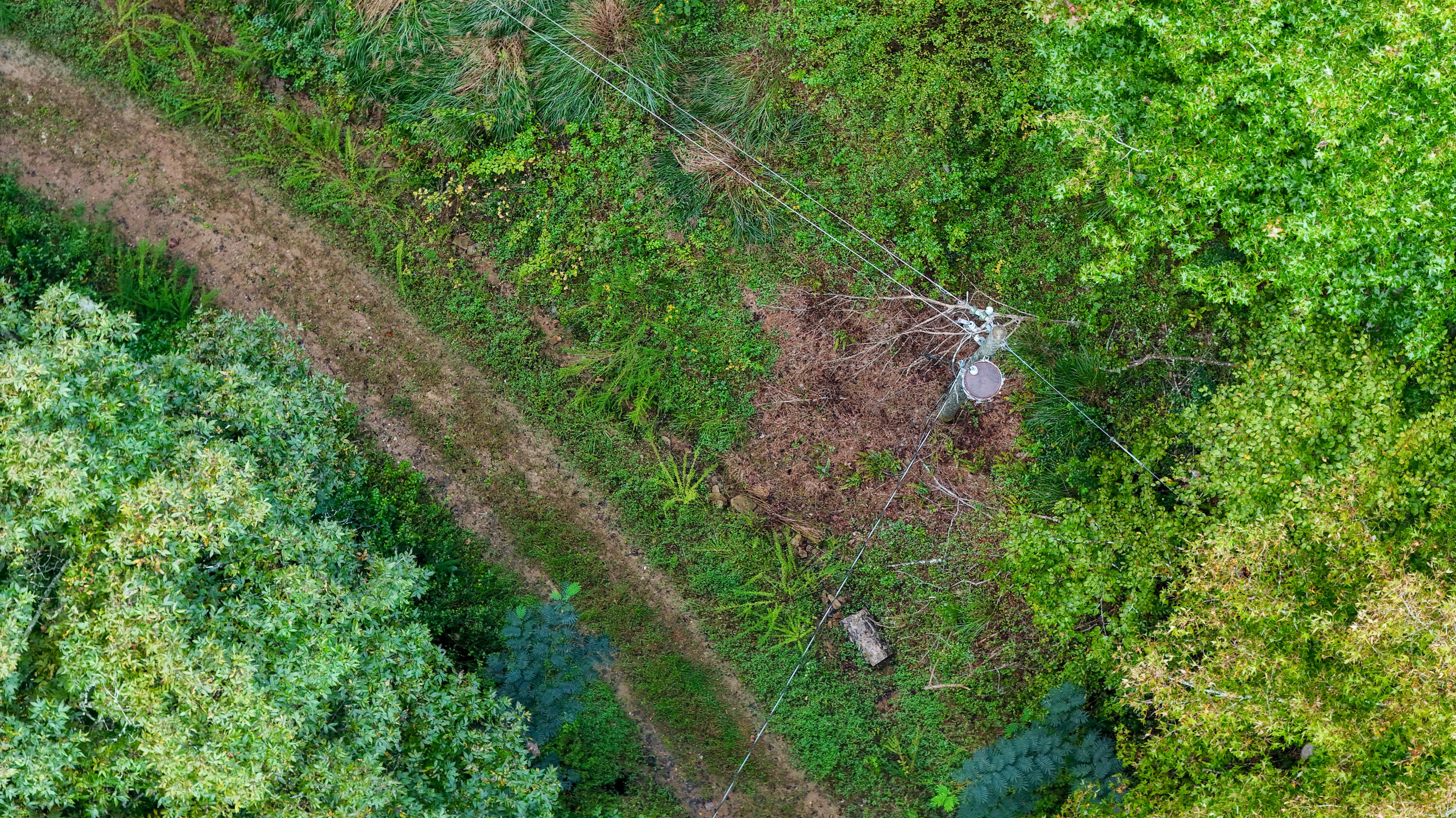 9999 Little Leatherwood Creek Road Property Photo 24