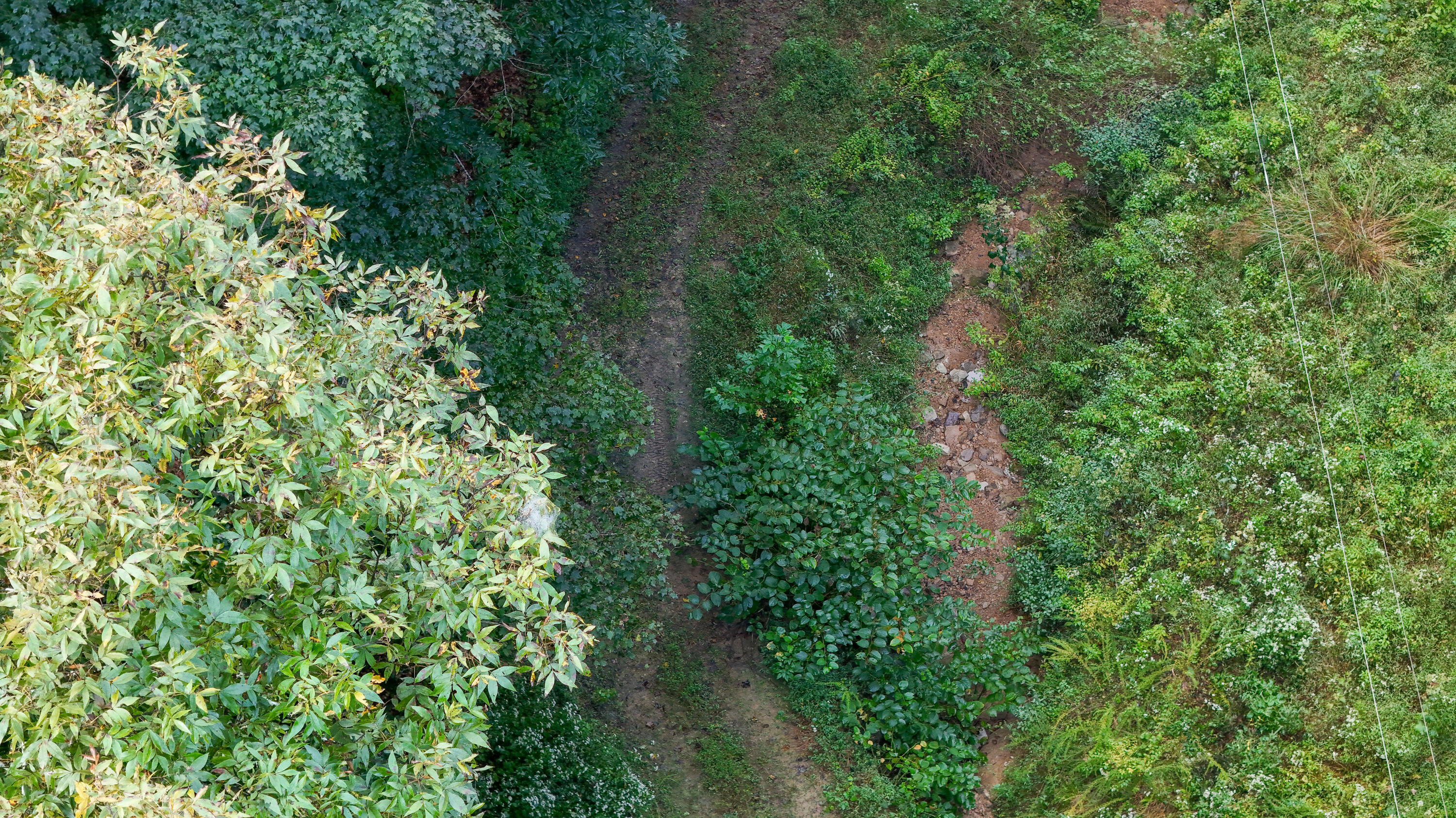 9999 Little Leatherwood Creek Road Property Photo 26