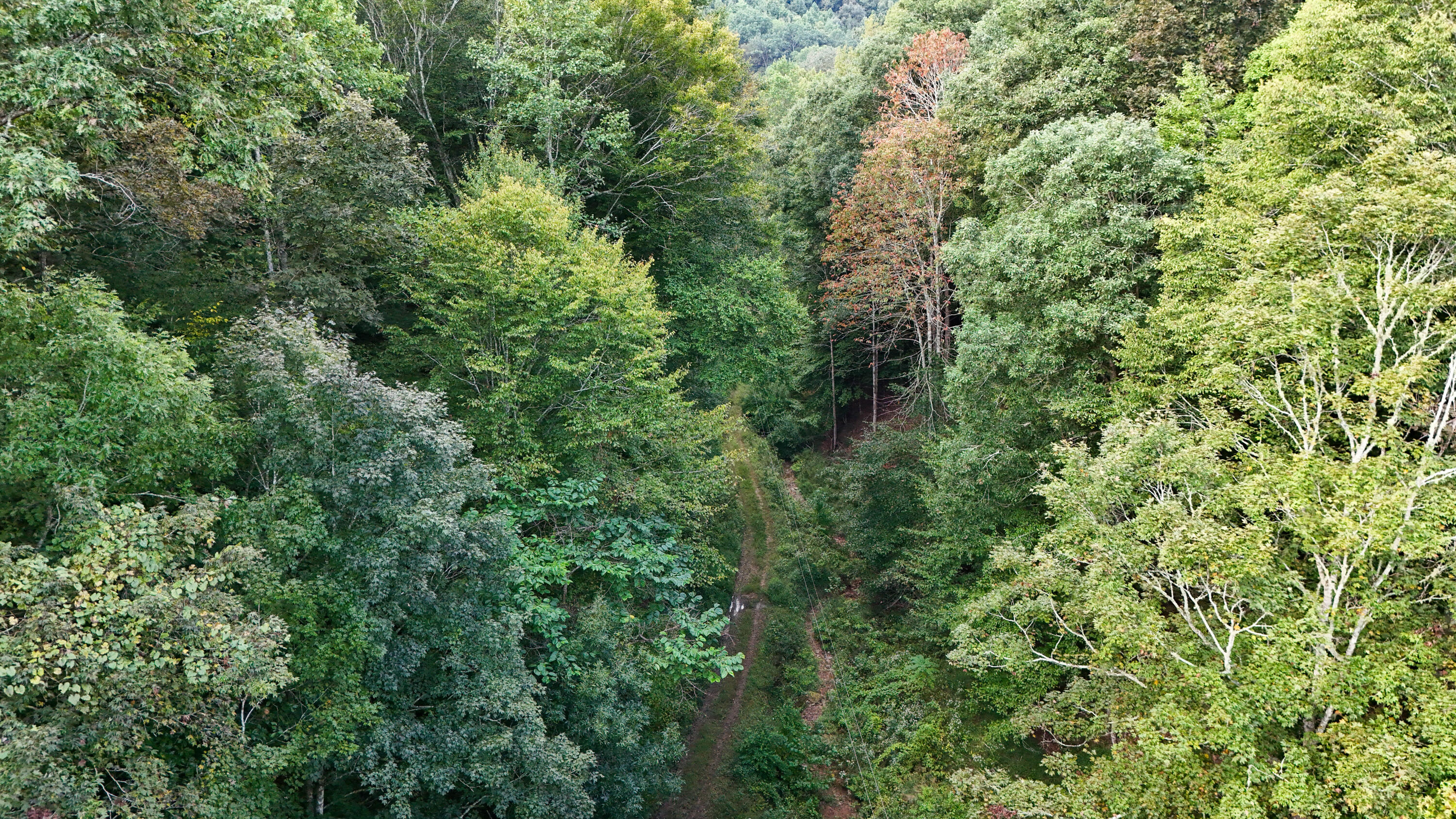 9999 Little Leatherwood Creek Road Property Photo 28