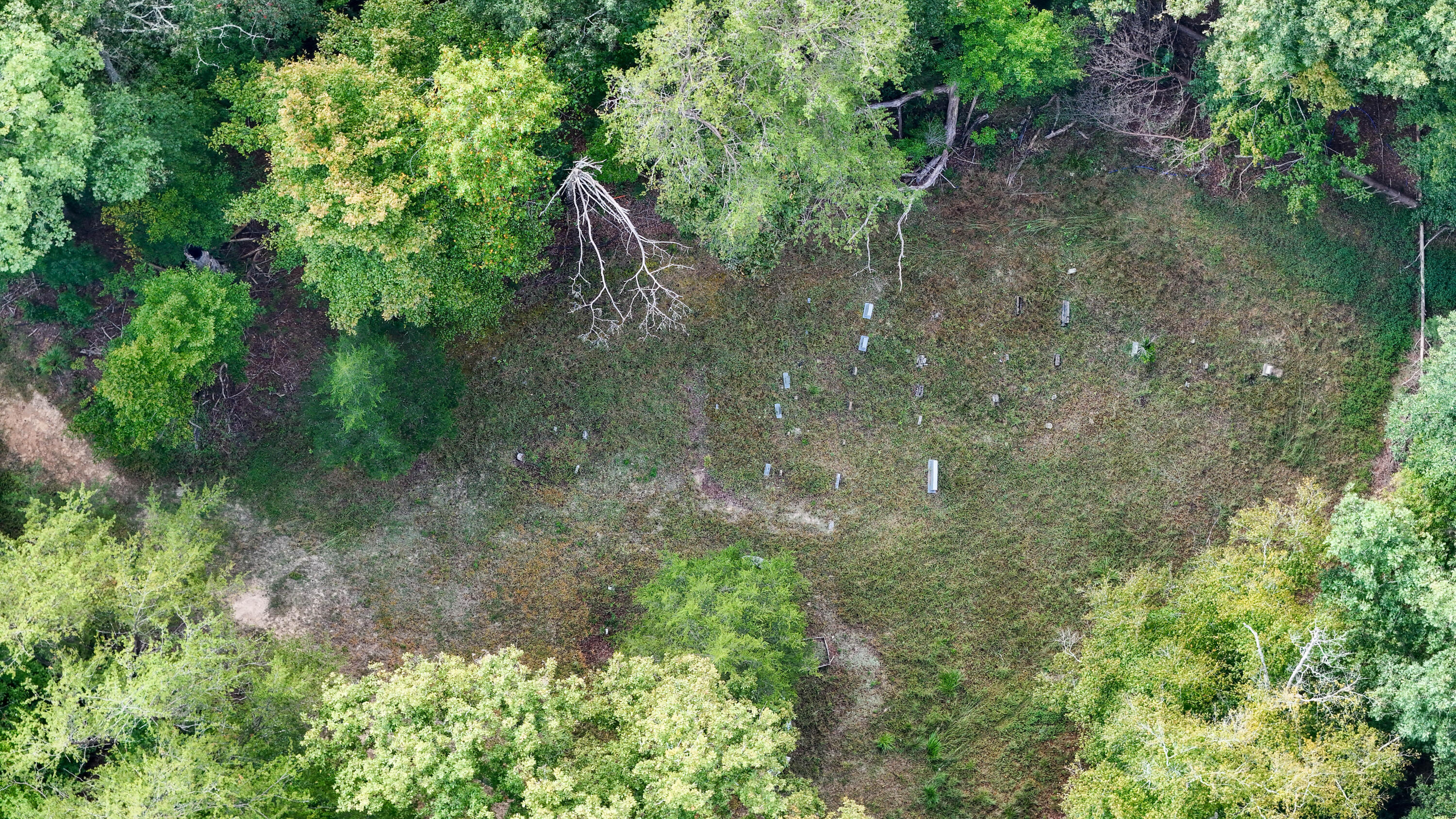 9999 Little Leatherwood Creek Road Property Photo 34