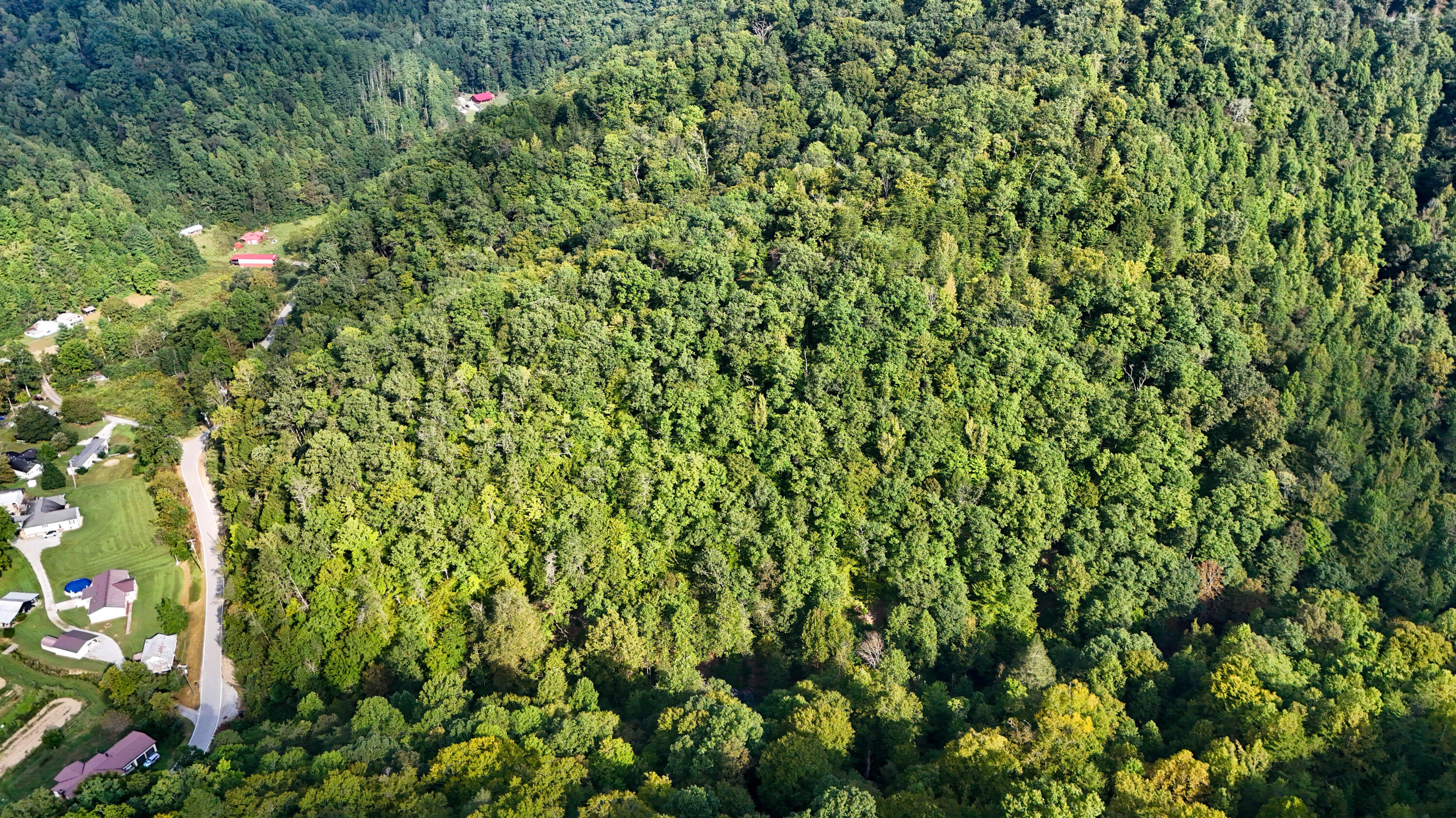9999 Little Leatherwood Creek Road Property Photo 35