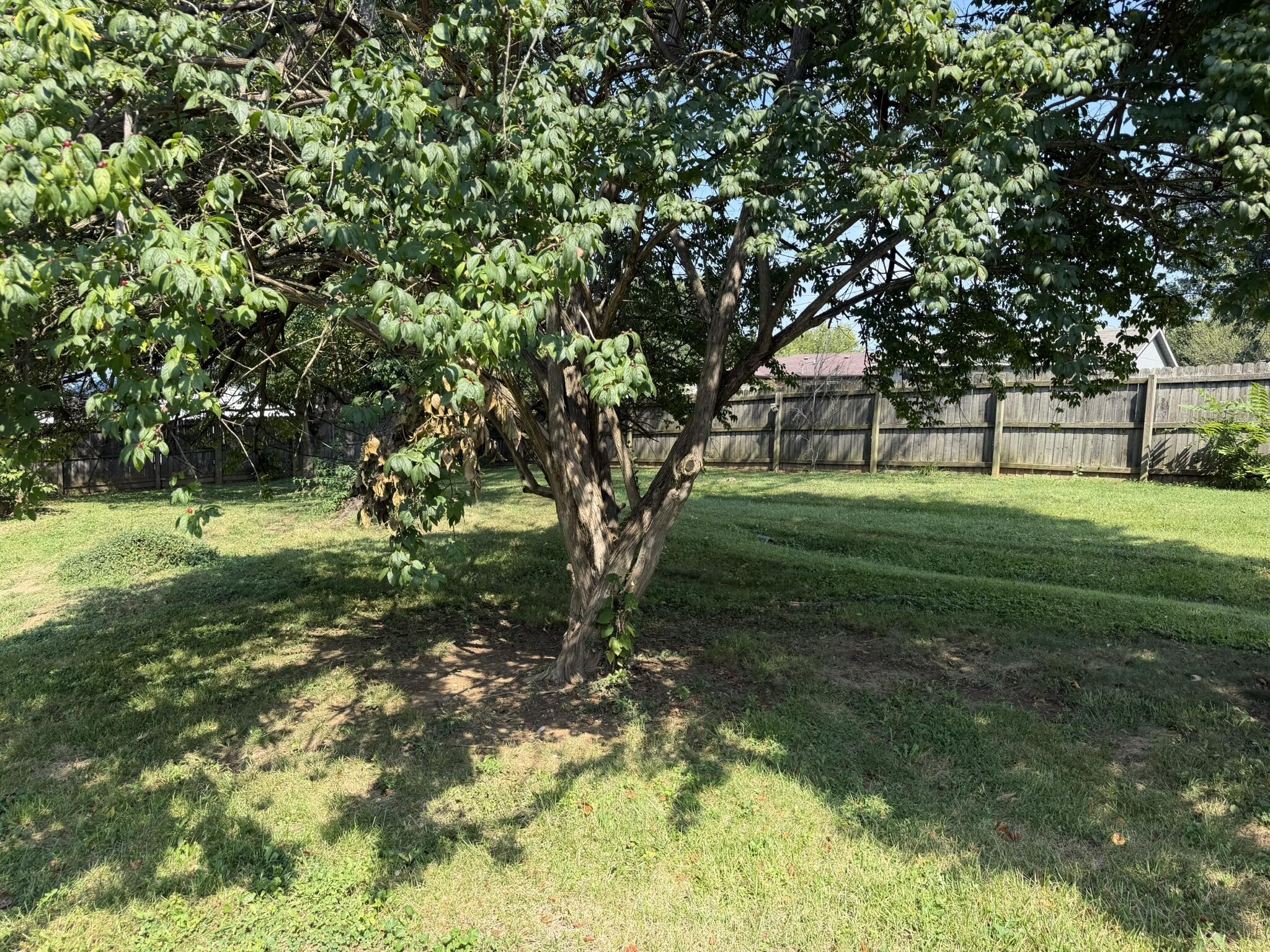 127 Center Street Property Photo 22