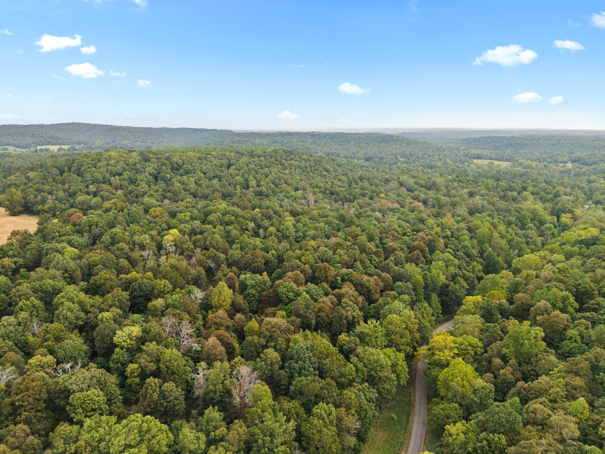 1081 Needmore-olney Road Property Photo 35