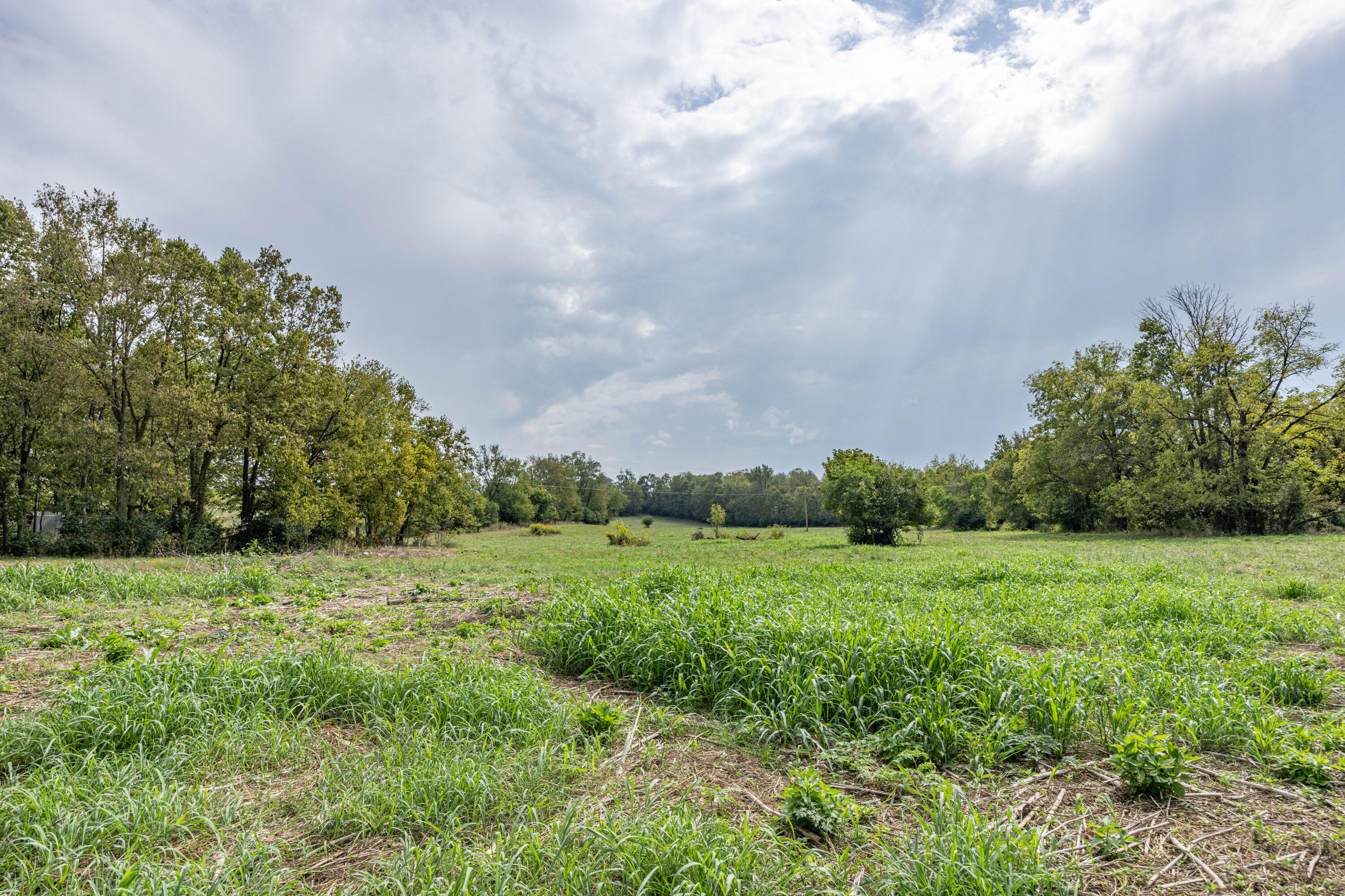 706 Stone Road Property Photo 4