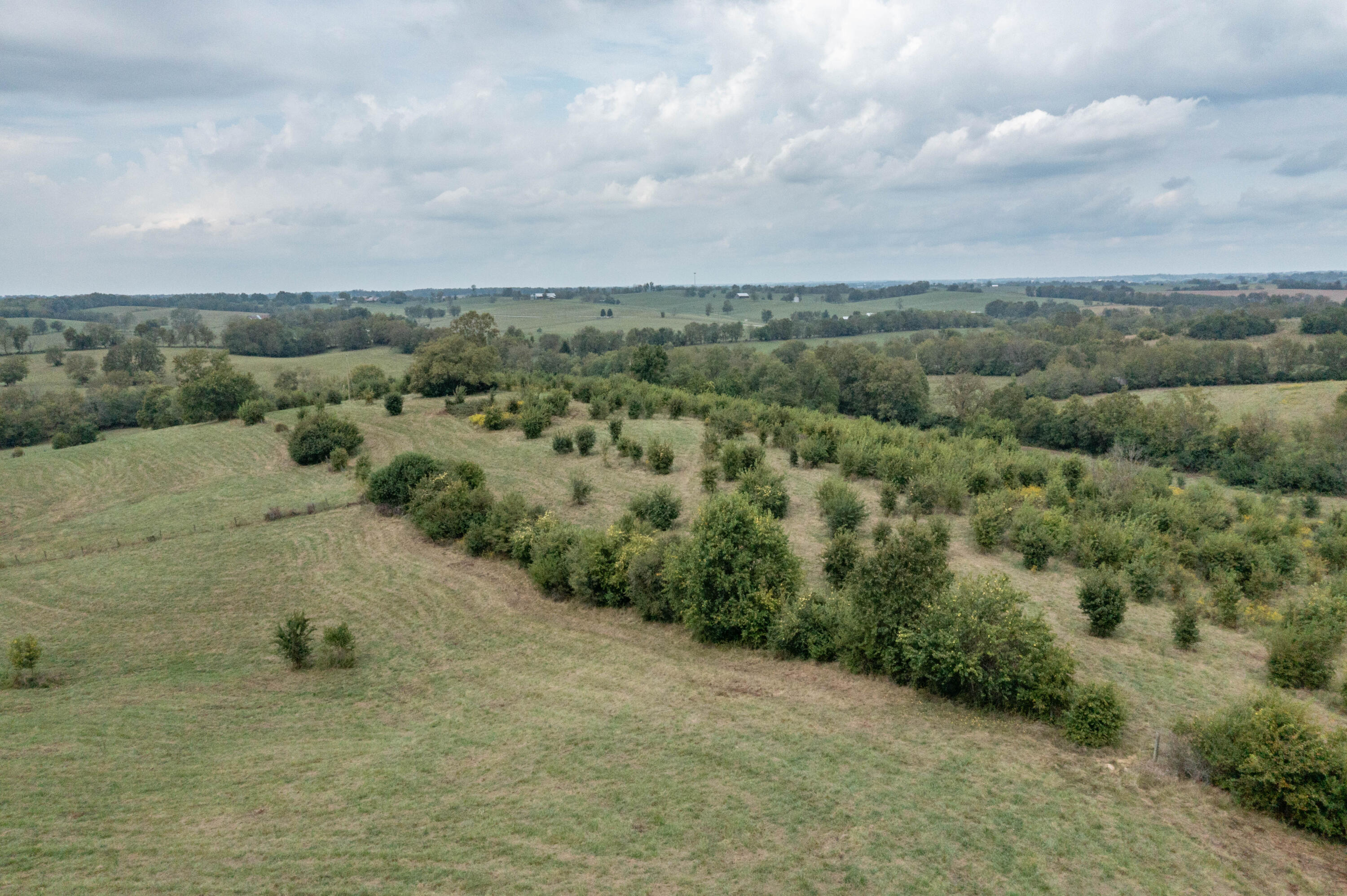 706 Stone Road Property Photo 9