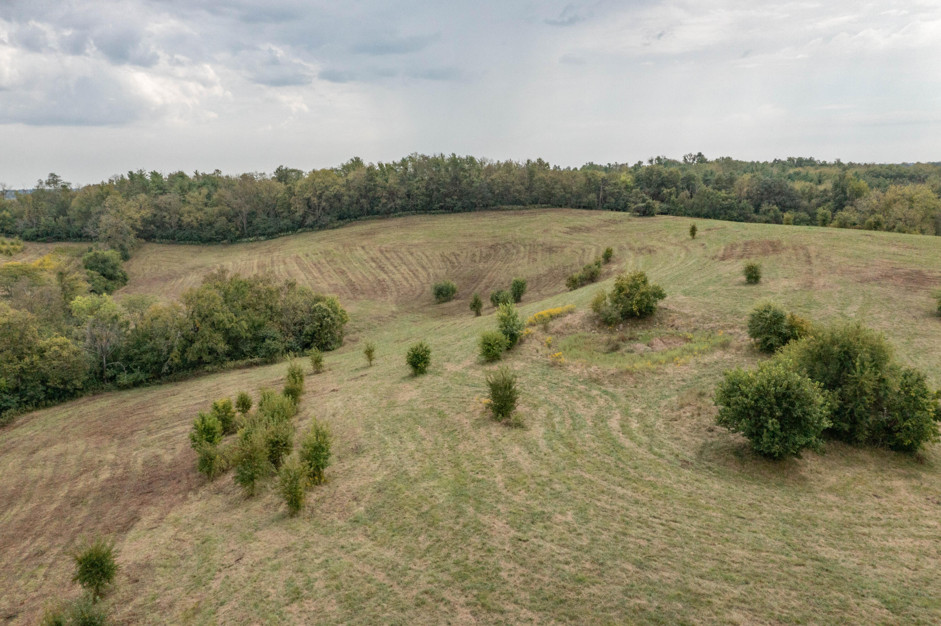 706 Stone Road Property Photo 10