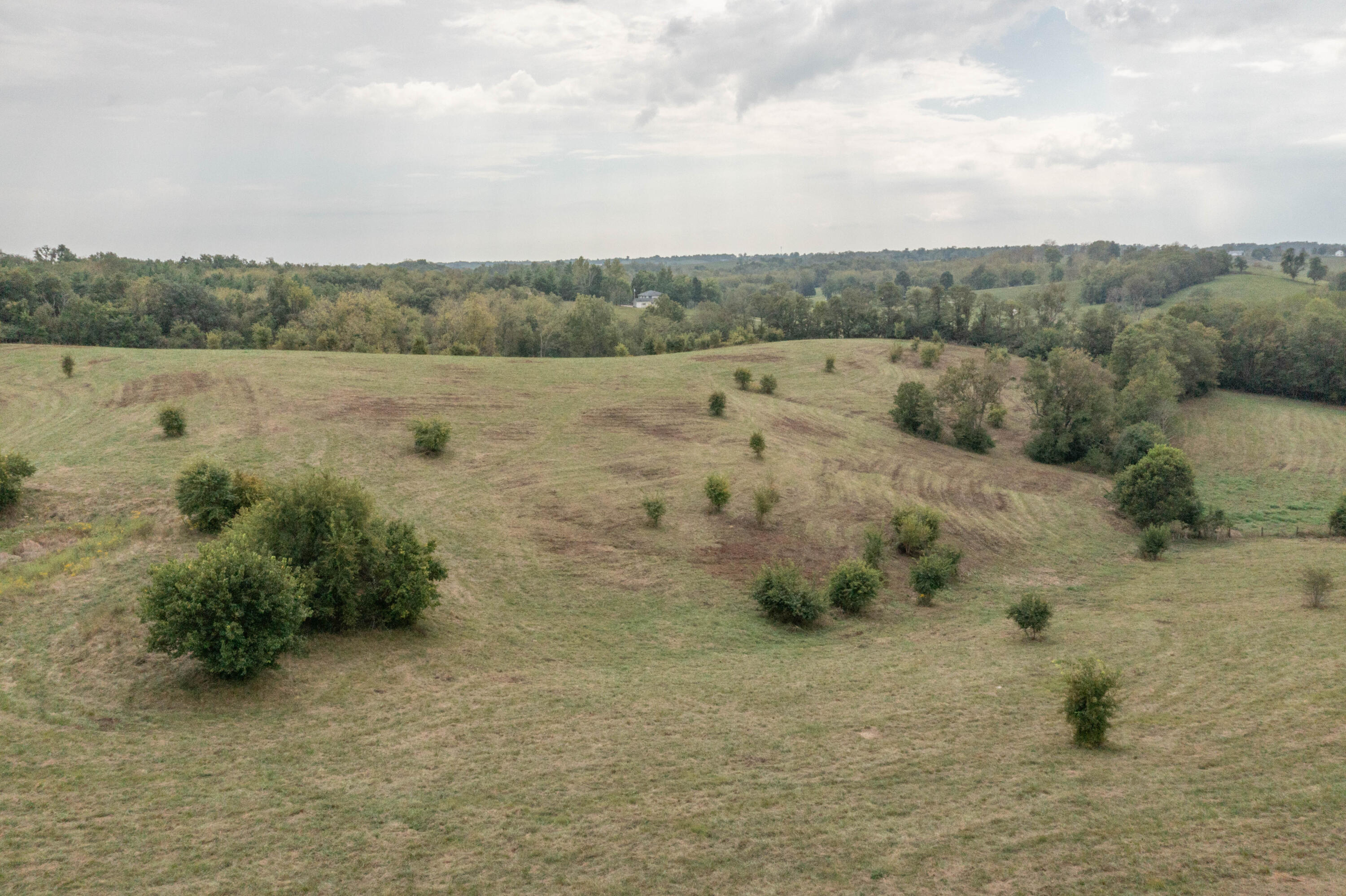 706 Stone Road Property Photo 11