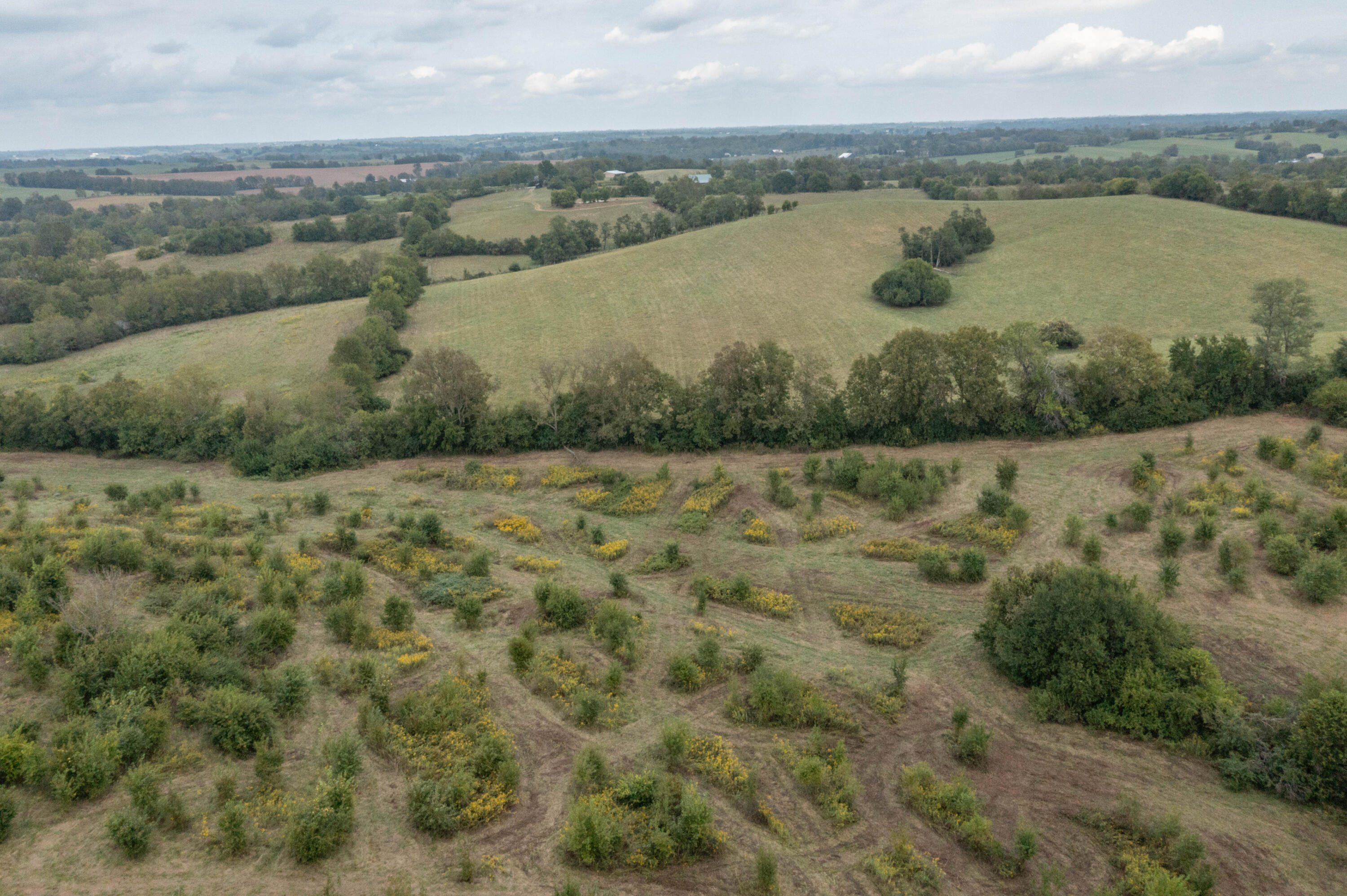 706 Stone Road Property Photo 13