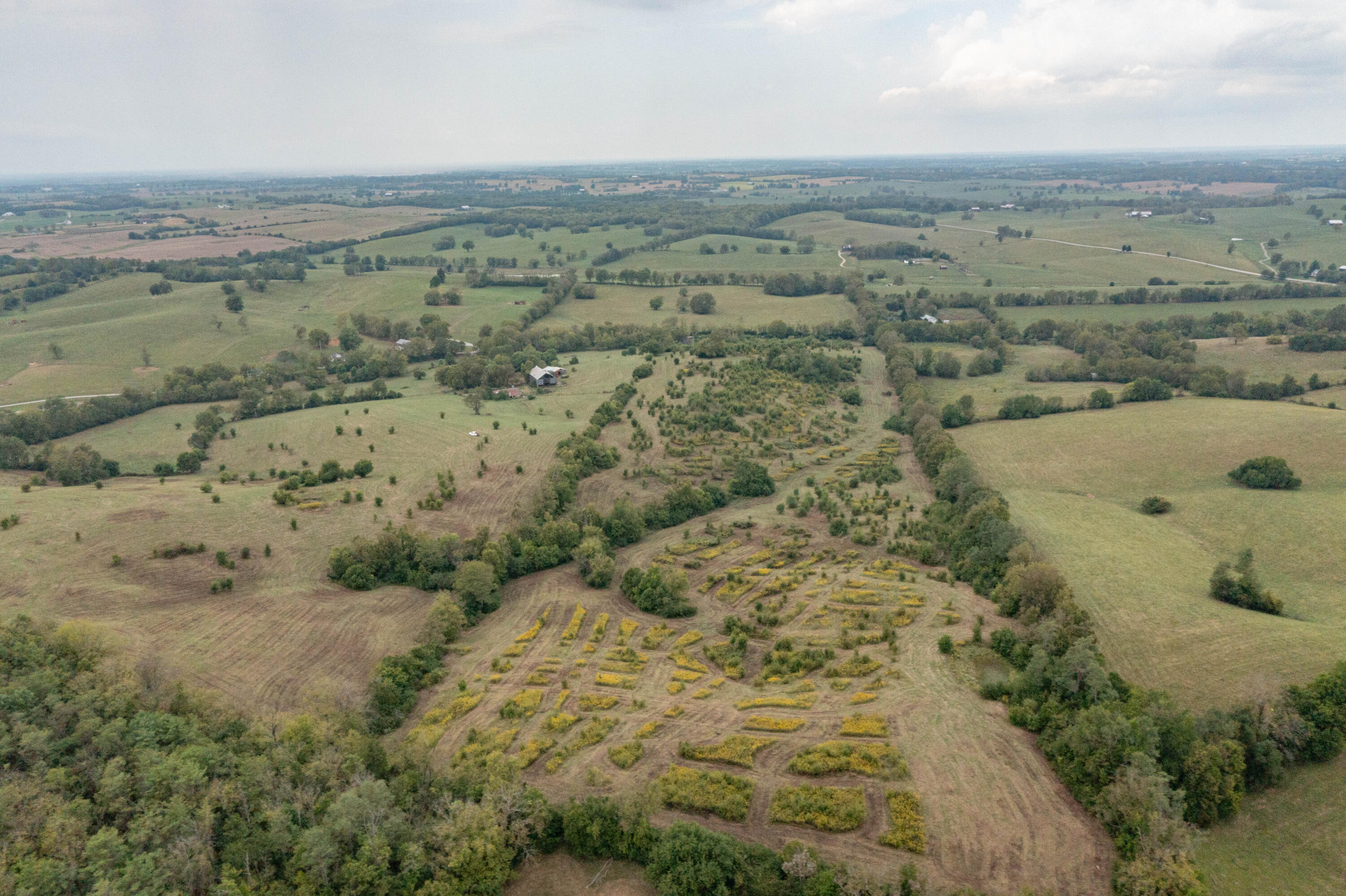 706 Stone Road Property Photo 16
