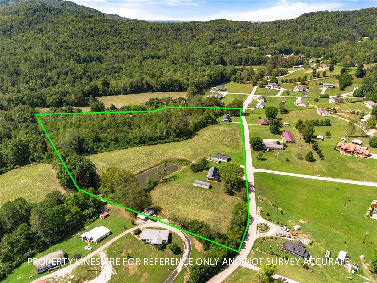 295 Becks Creek Rd Road Property Photo 13