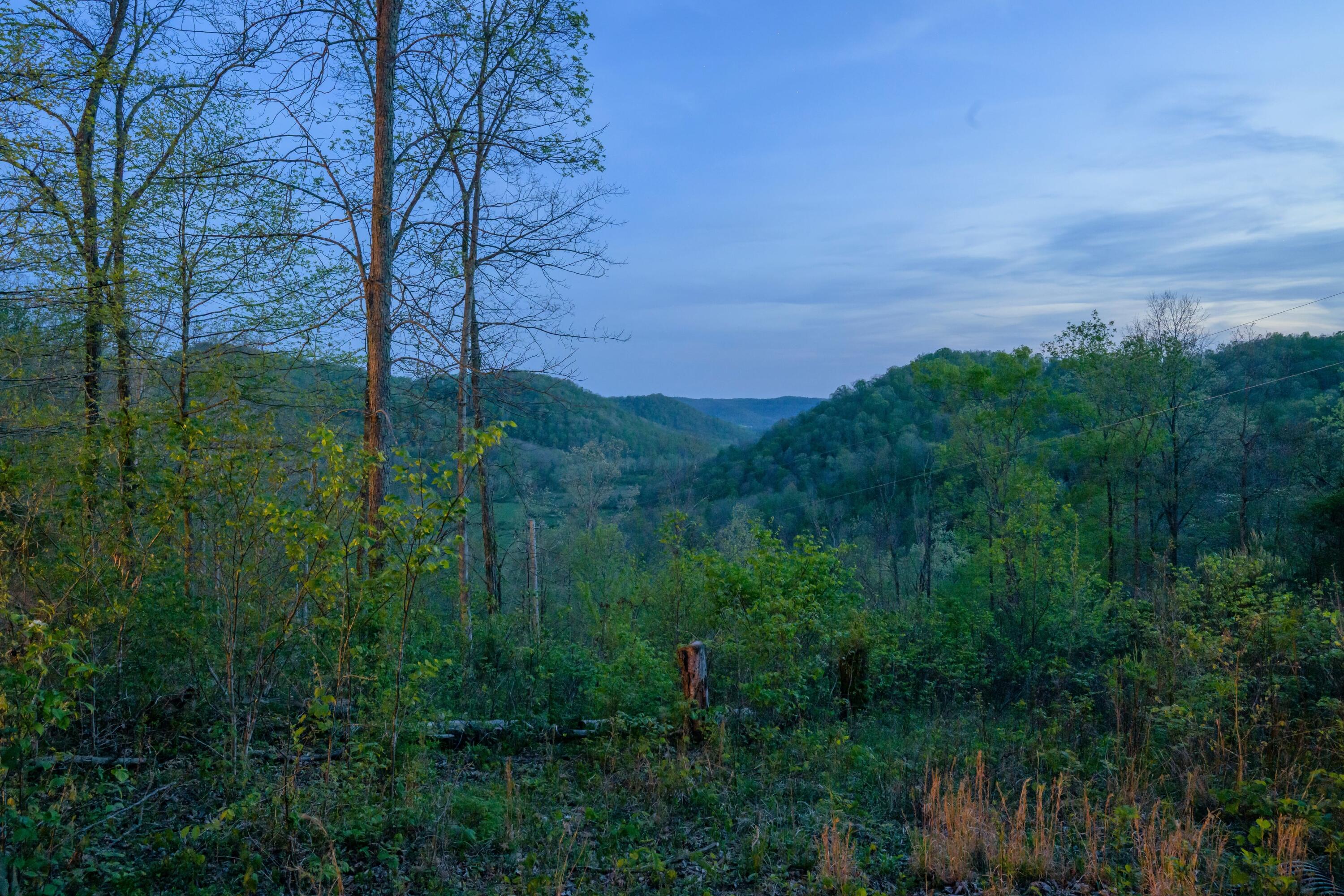 499 River Rock Road Property Photo 29