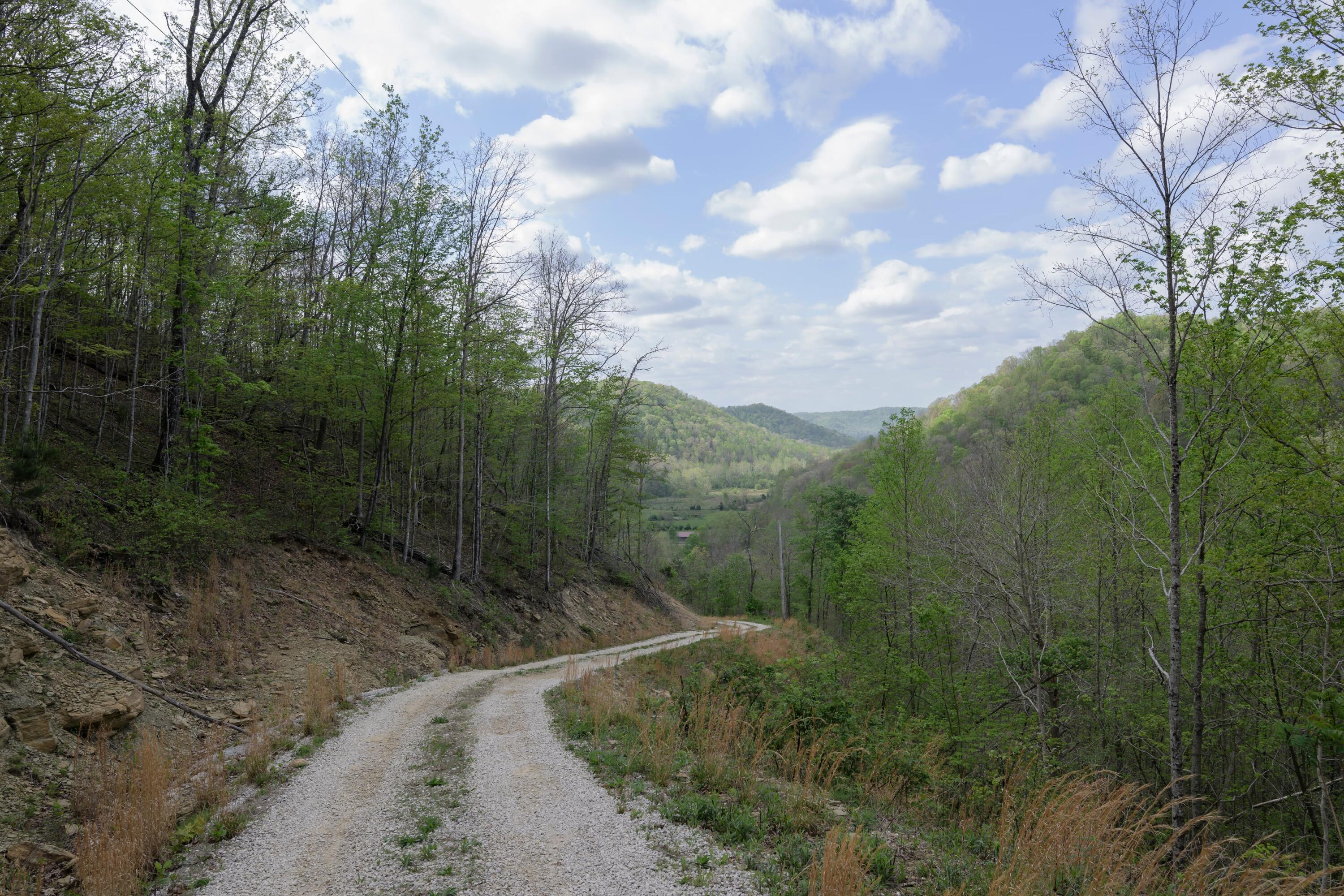 499 River Rock Road Property Photo 44