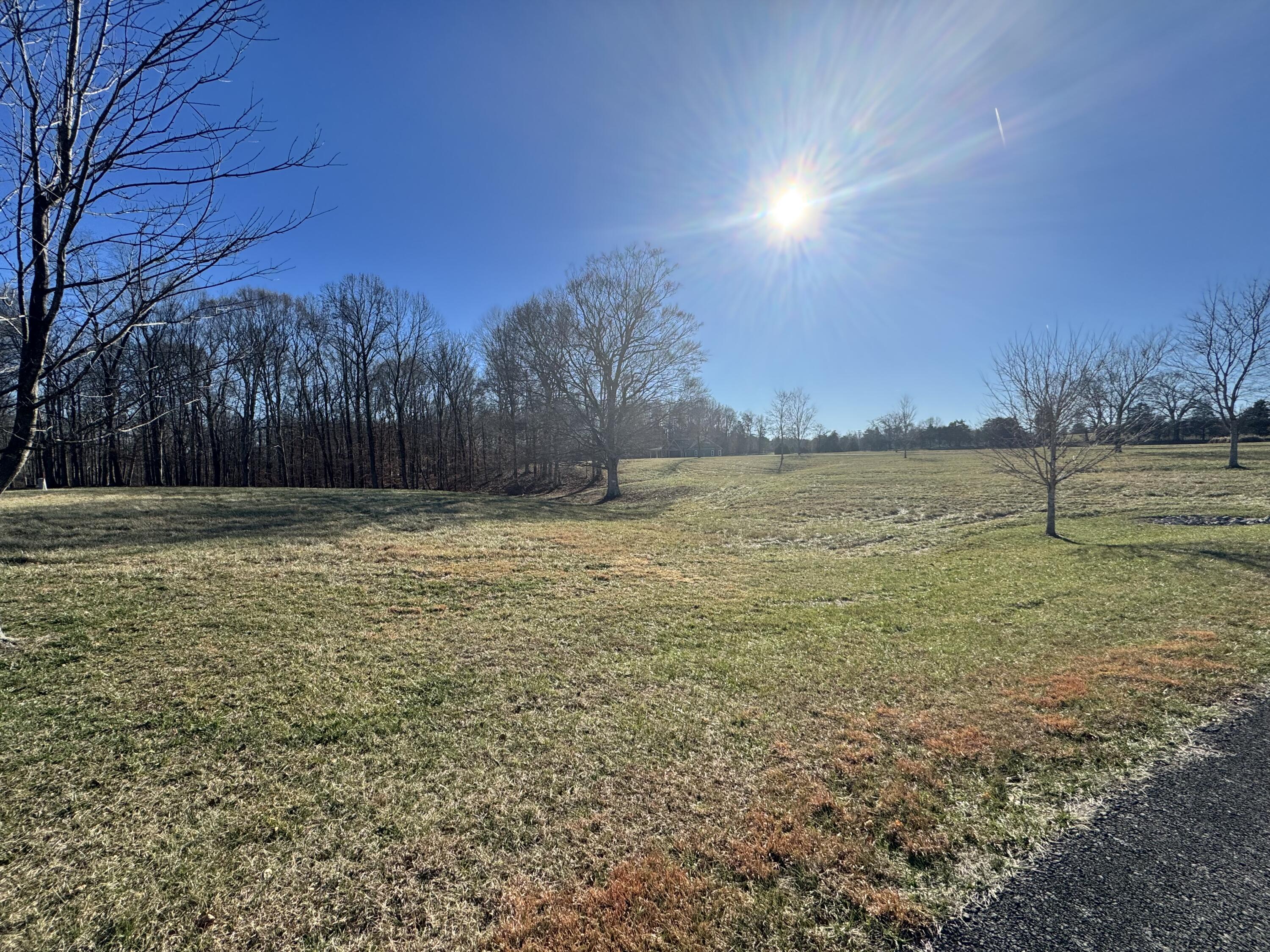 425 Cliffside Drive Property Photo 10