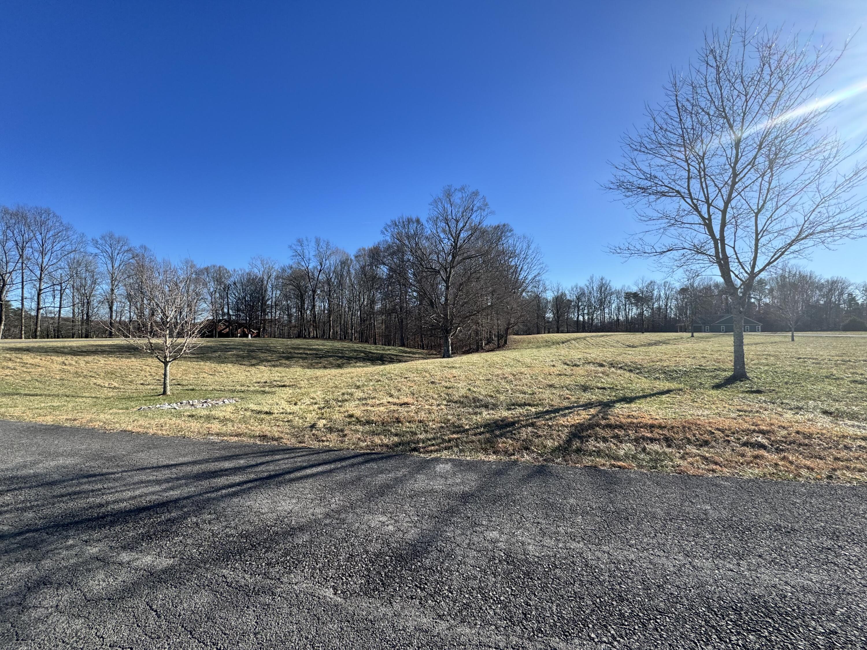425 Cliffside Drive Property Photo 11